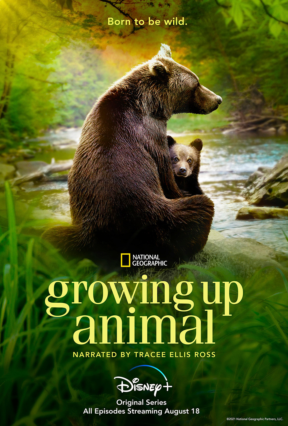 Growing Up Poster