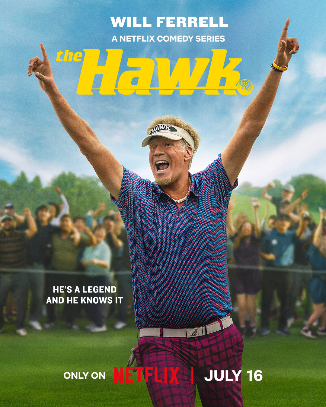 Extra Large TV Poster Image for The Hawk (#2 of 2)