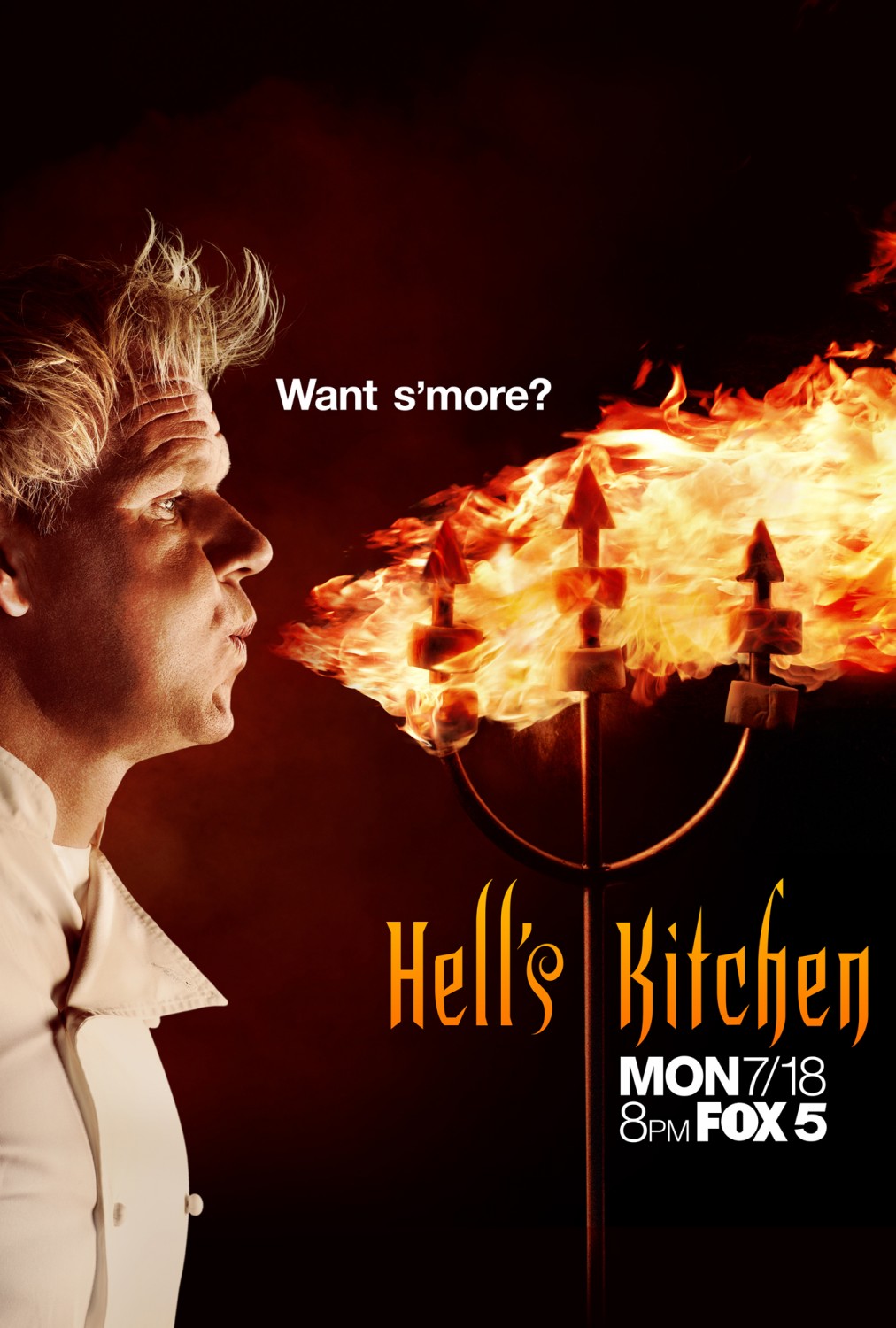 Extra Large TV Poster Image for Hell's Kitchen (#3 of 10)