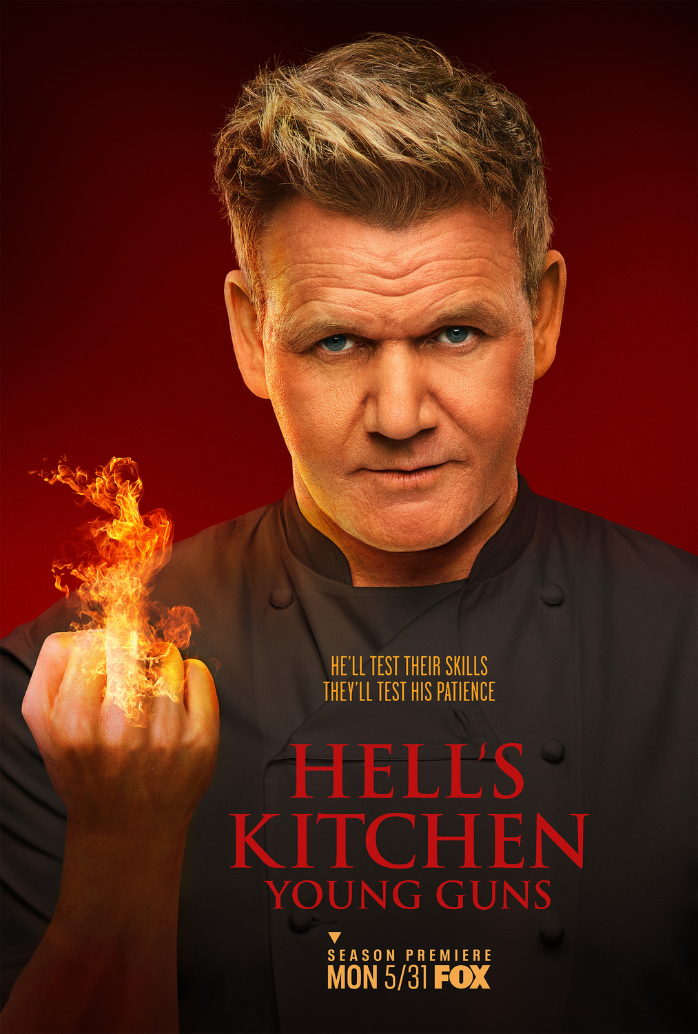 Extra Large TV Poster Image for Hell's Kitchen (#9 of 10)