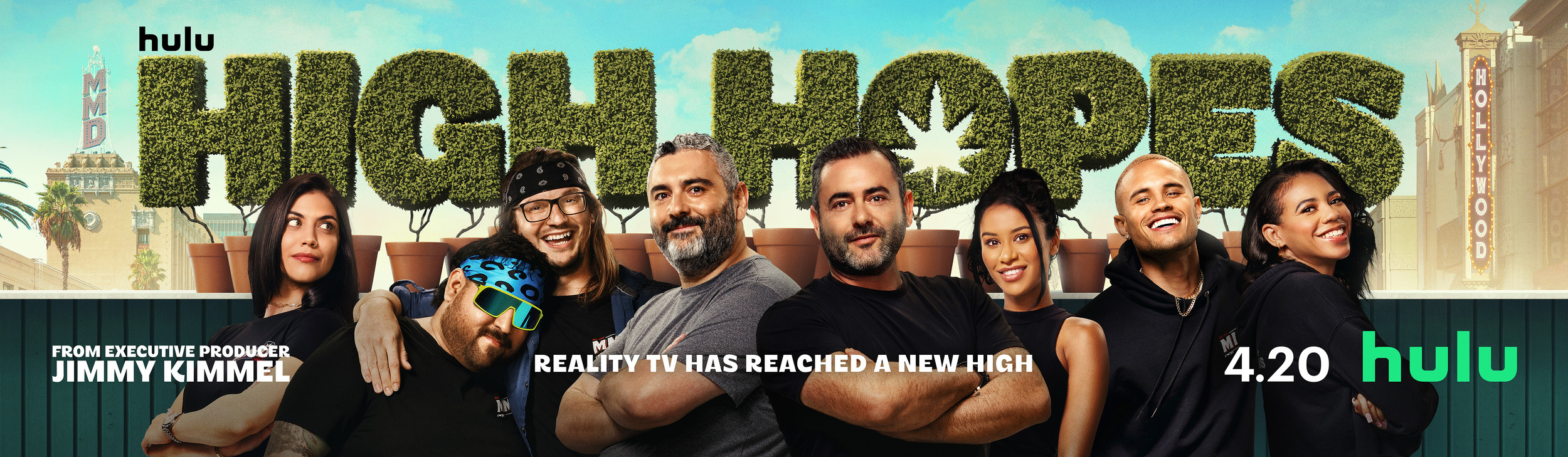 Mega Sized TV Poster Image for High Hopes (#2 of 2)