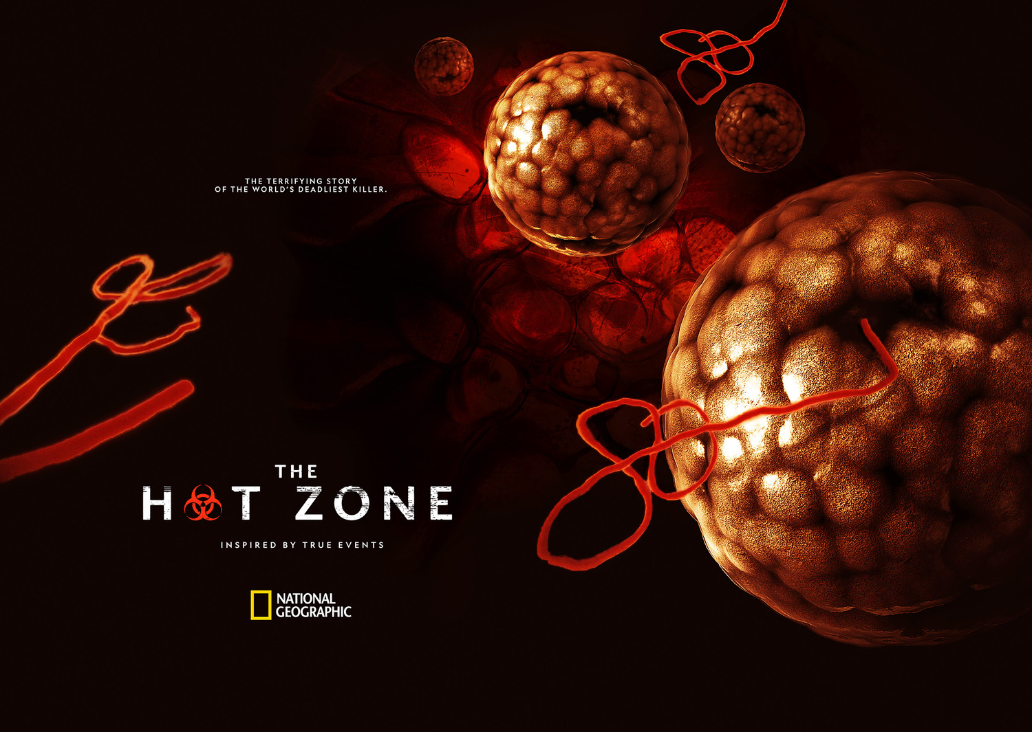 Extra Large Movie Poster Image for The Hot Zone (#3 of 3)