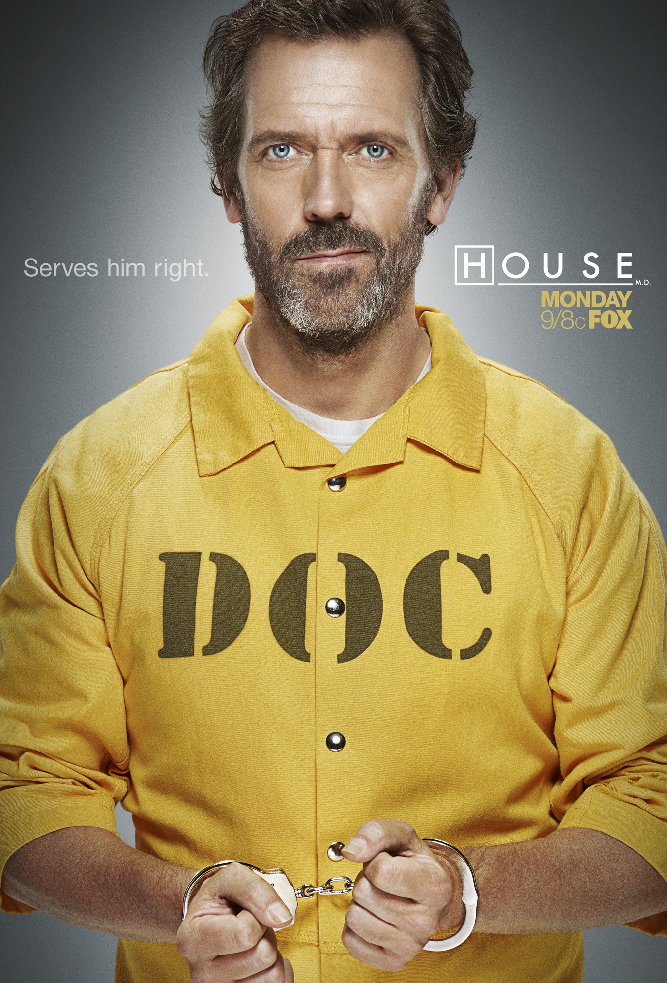 Mega Sized TV Poster Image for House, M.D. (#17 of 20)