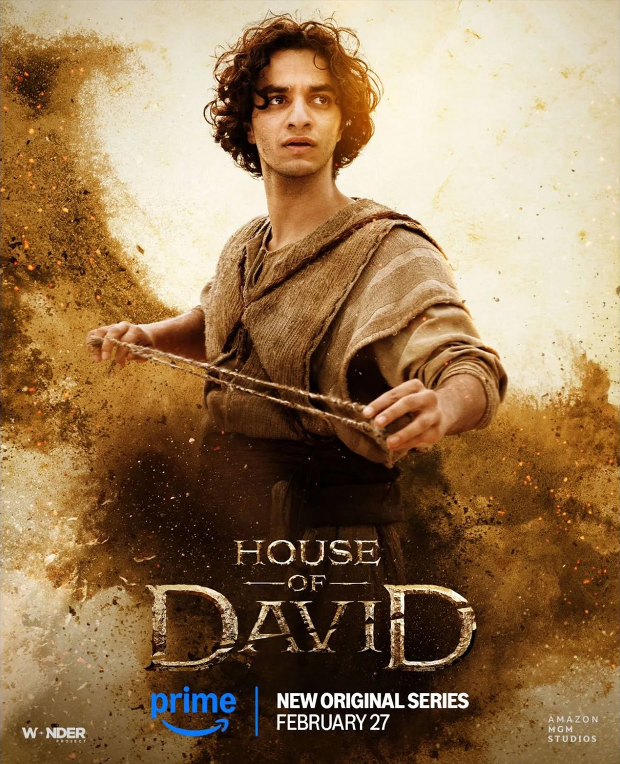 Extra Large TV Poster Image for House of David (#10 of 10)