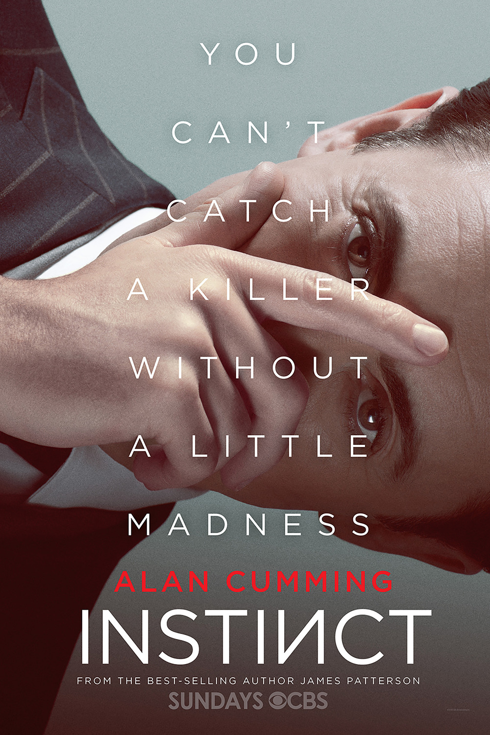 Extra Large TV Poster Image for Instinct 