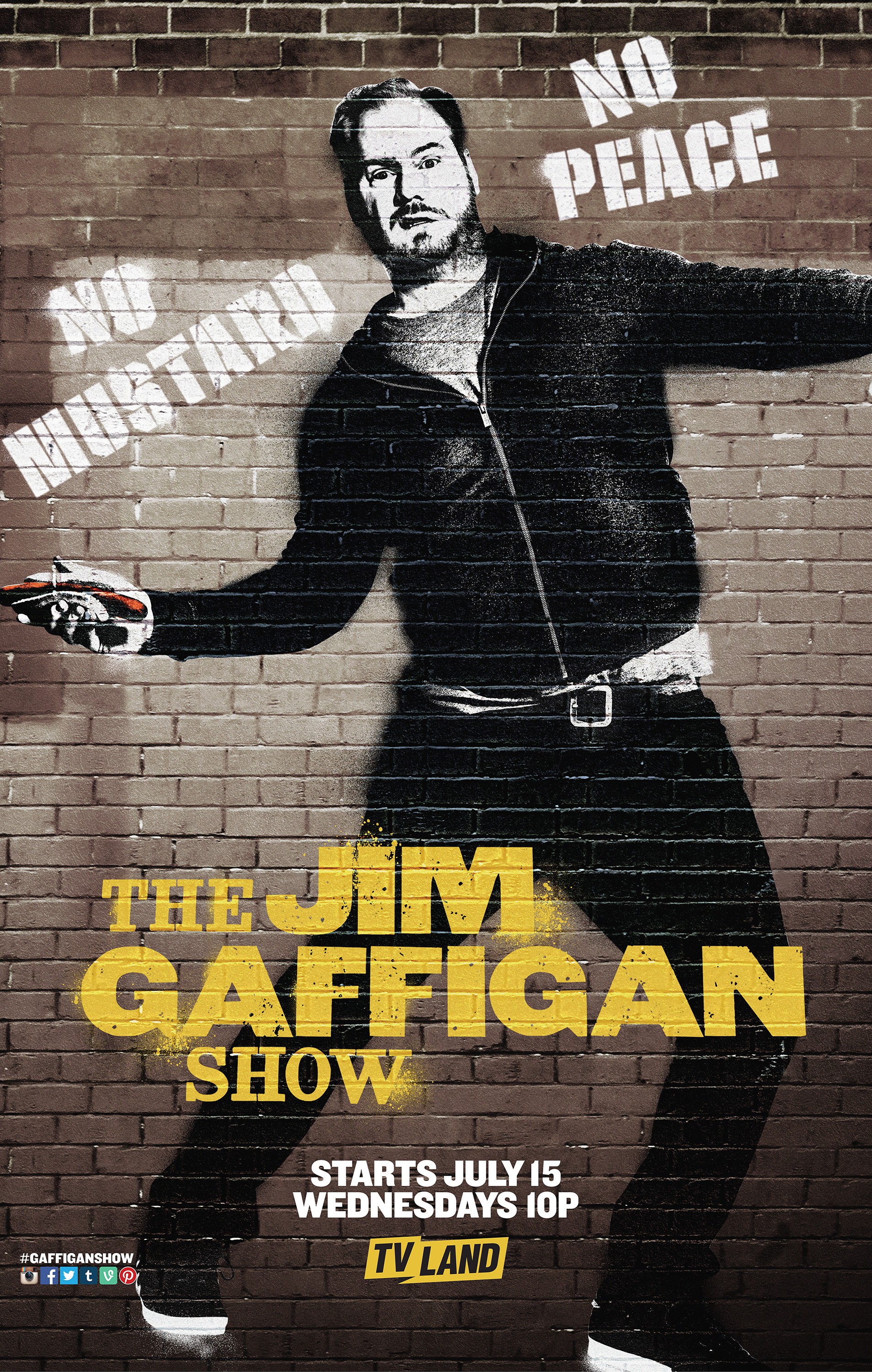 Mega Sized TV Poster Image for The Jim Gaffigan Show (#2 of 7)