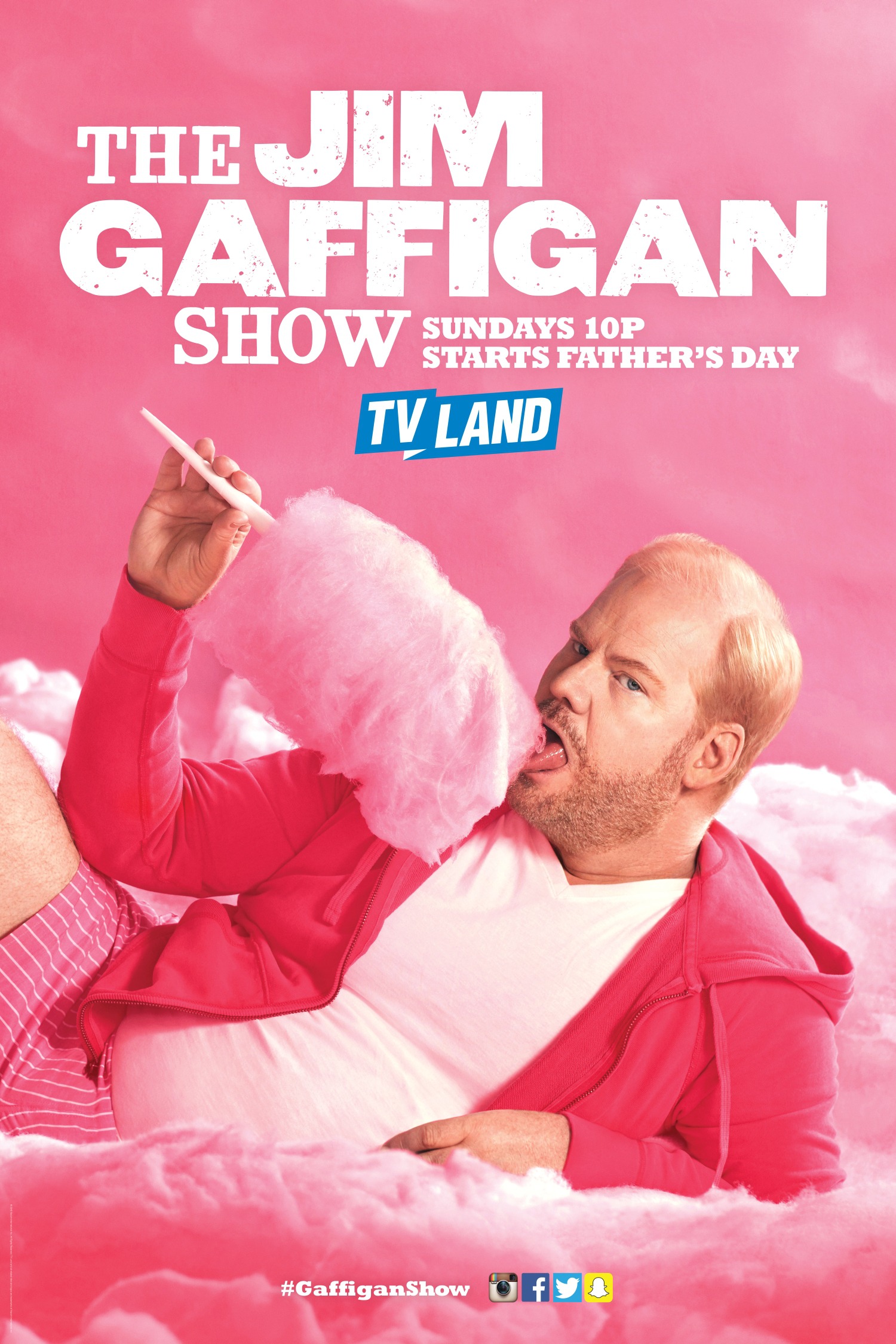 Mega Sized TV Poster Image for The Jim Gaffigan Show (#5 of 7)