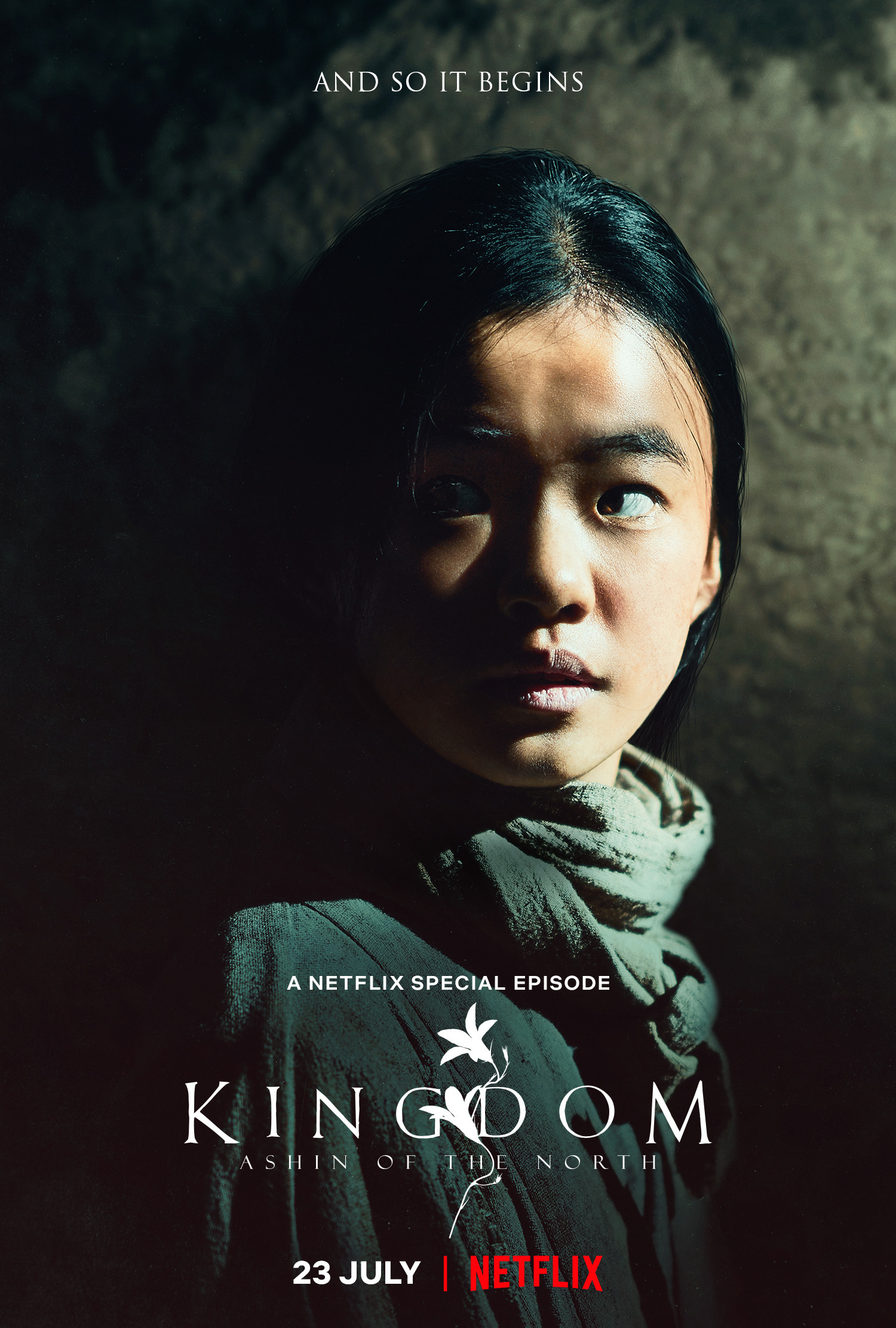 Mega Sized TV Poster Image for Kingdom: Ashin of the North (#3 of 8)