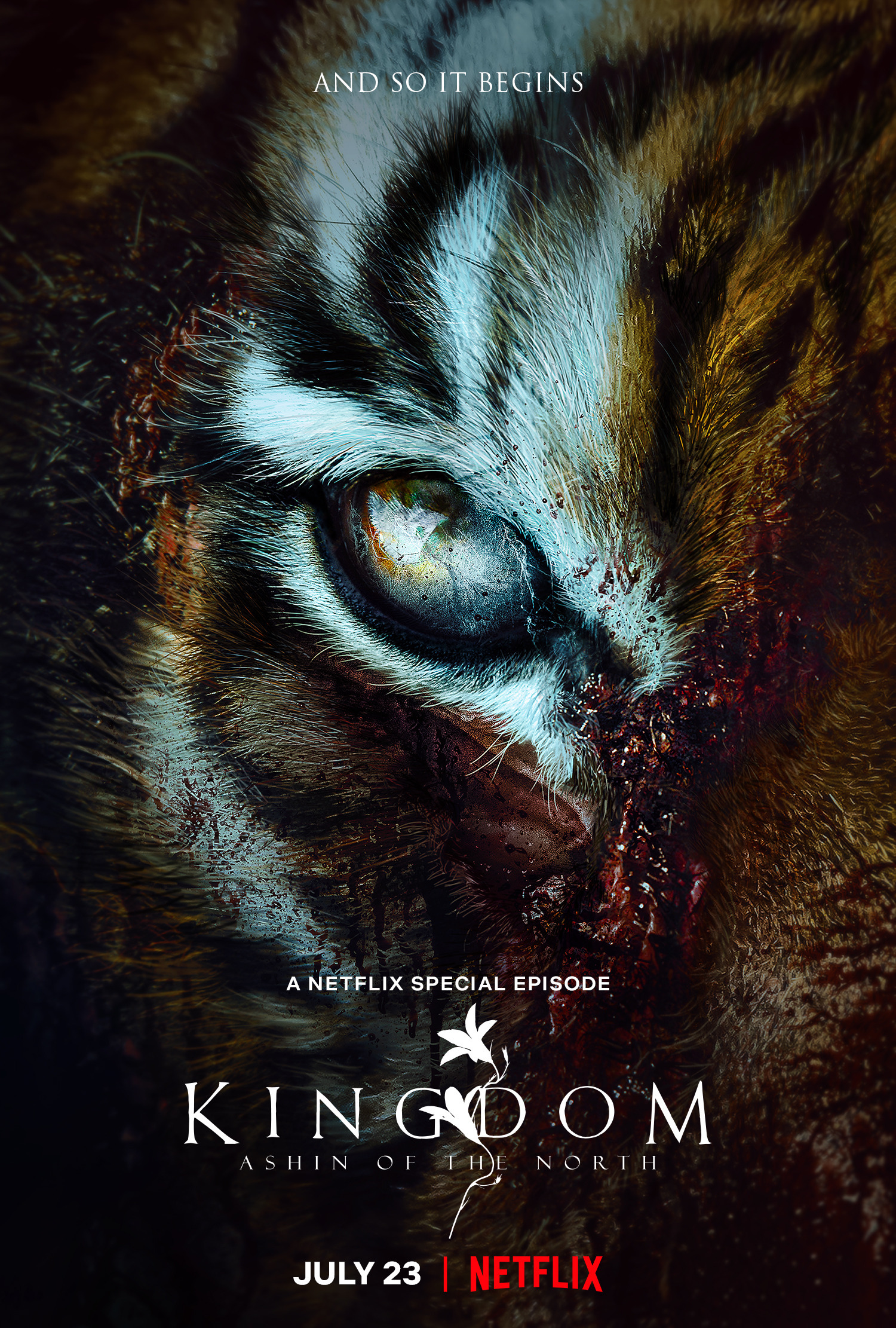 Mega Sized TV Poster Image for Kingdom: Ashin of the North (#5 of 8)
