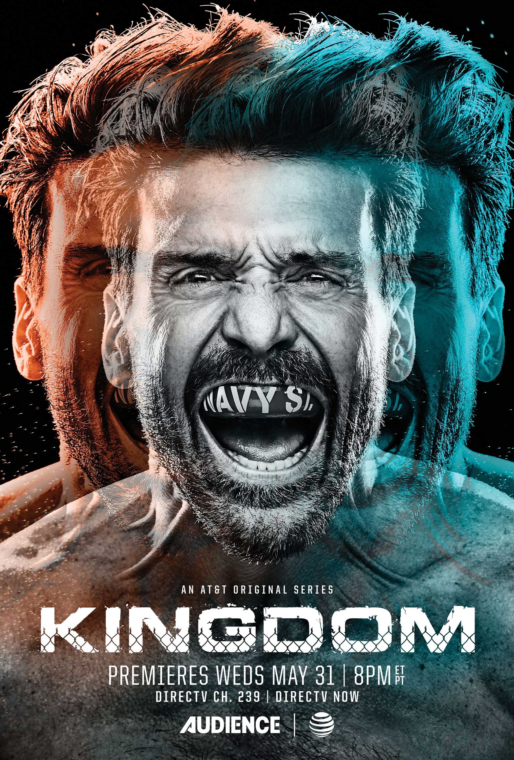 Mega Sized TV Poster Image for Kingdom (#2 of 7)