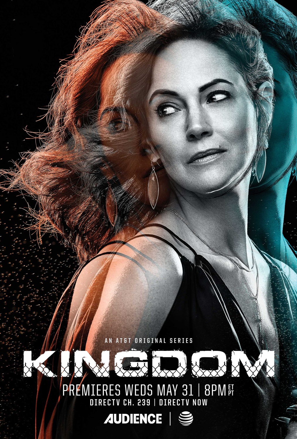 Extra Large TV Poster Image for Kingdom (#3 of 7)