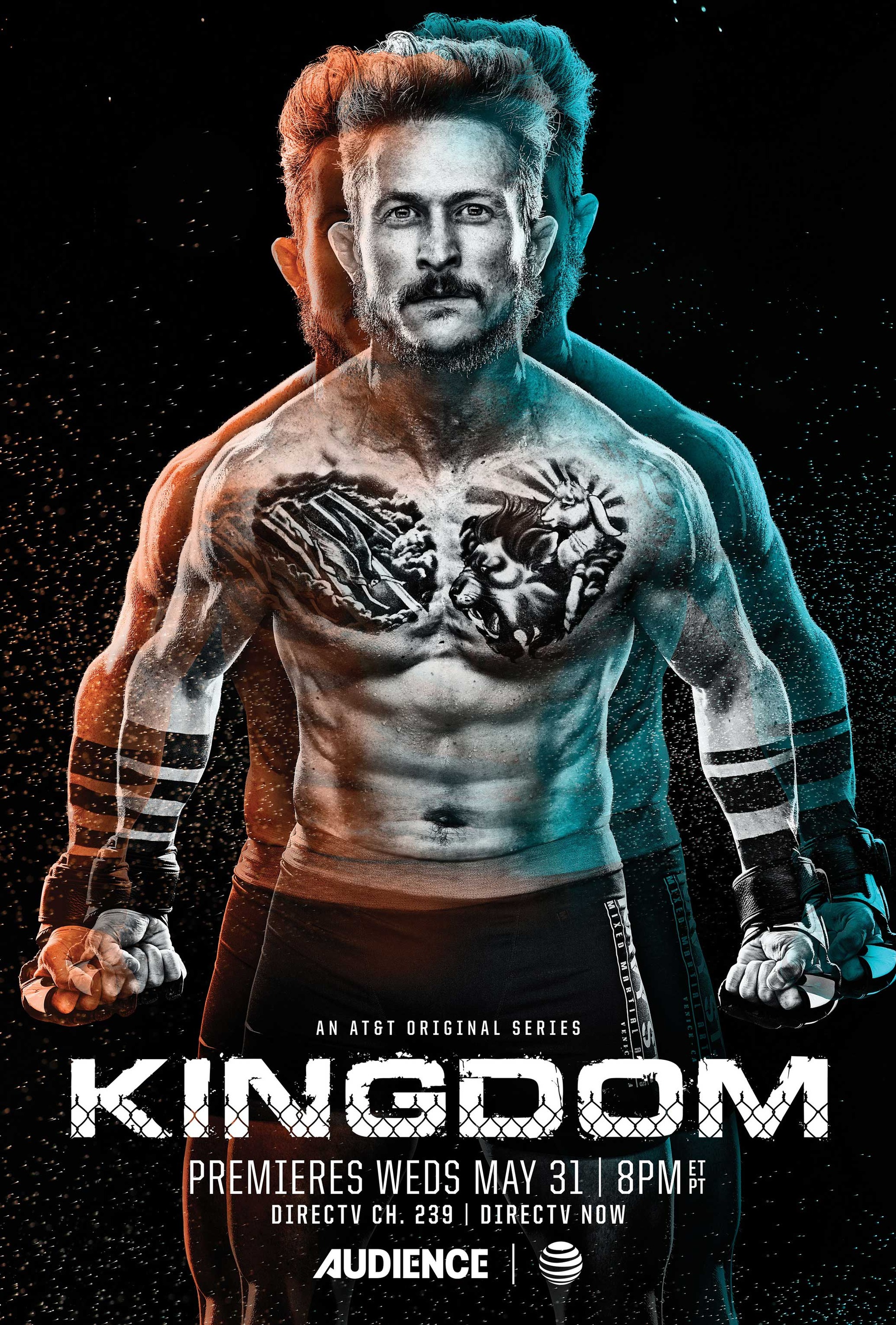 Mega Sized TV Poster Image for Kingdom (#4 of 7)
