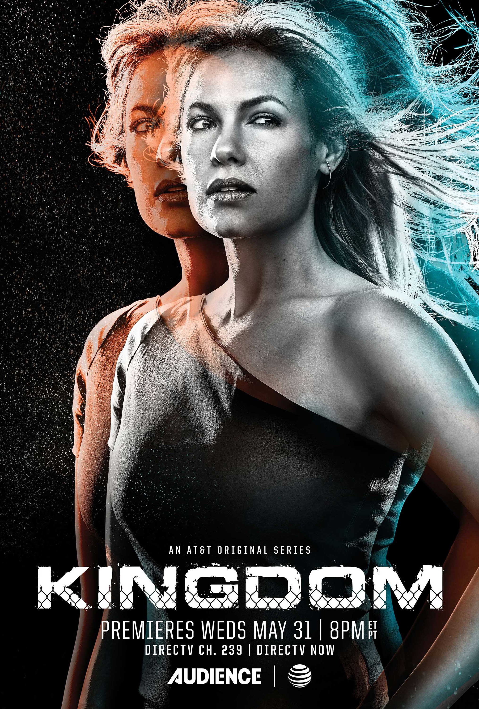 Mega Sized TV Poster Image for Kingdom (#5 of 7)