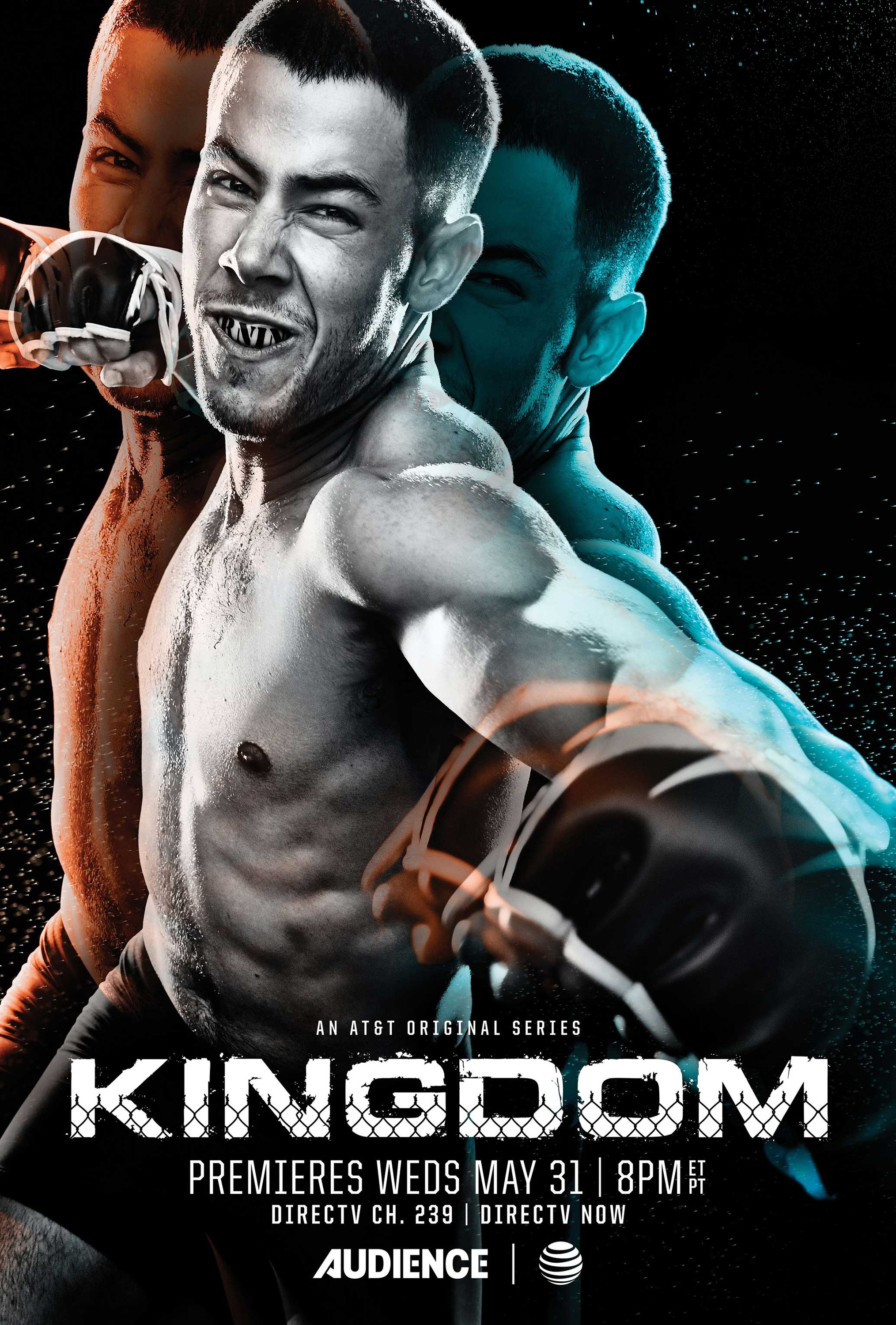 Mega Sized TV Poster Image for Kingdom (#6 of 7)