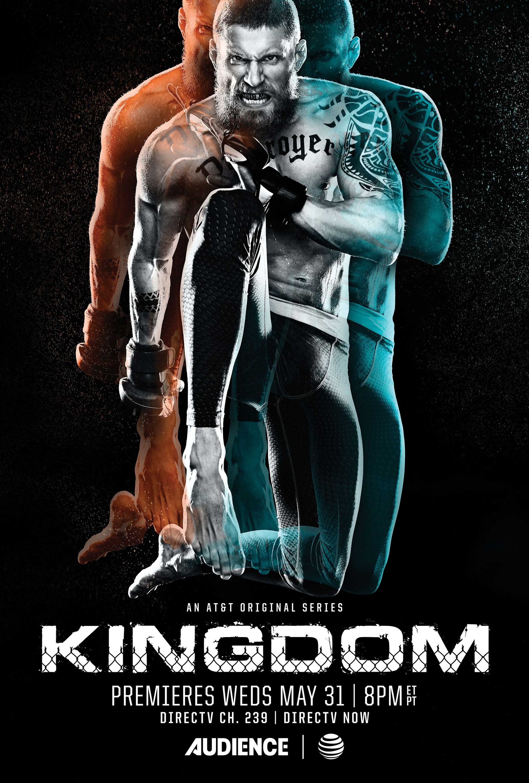 Mega Sized TV Poster Image for Kingdom (#7 of 7)