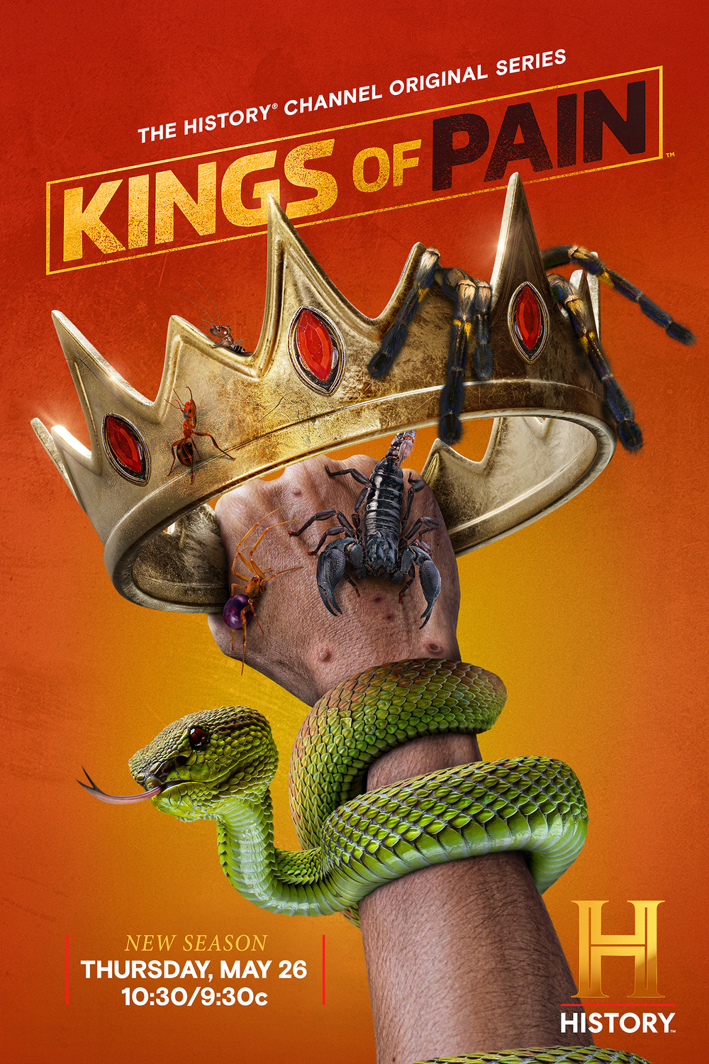 Extra Large TV Poster Image for Kings of Pain (#1 of 2)