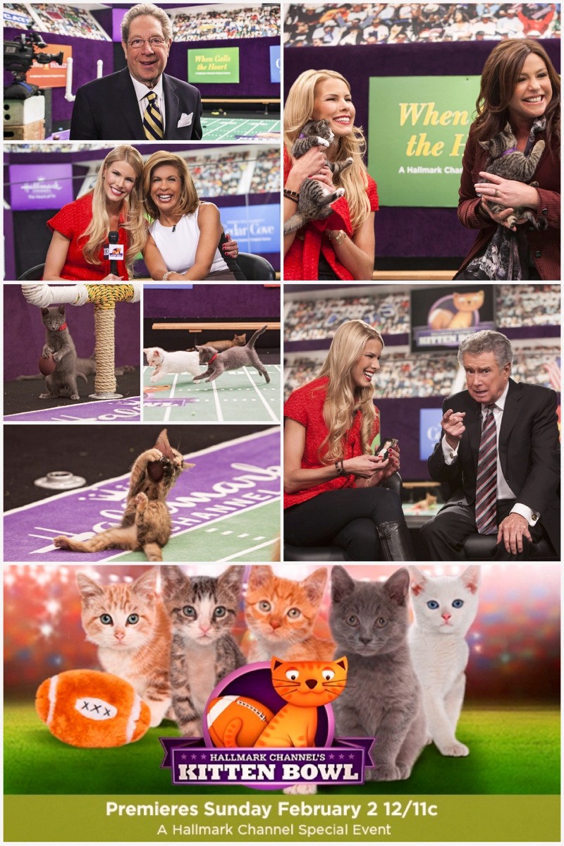 Extra Large TV Poster Image for Kitten Bowl 