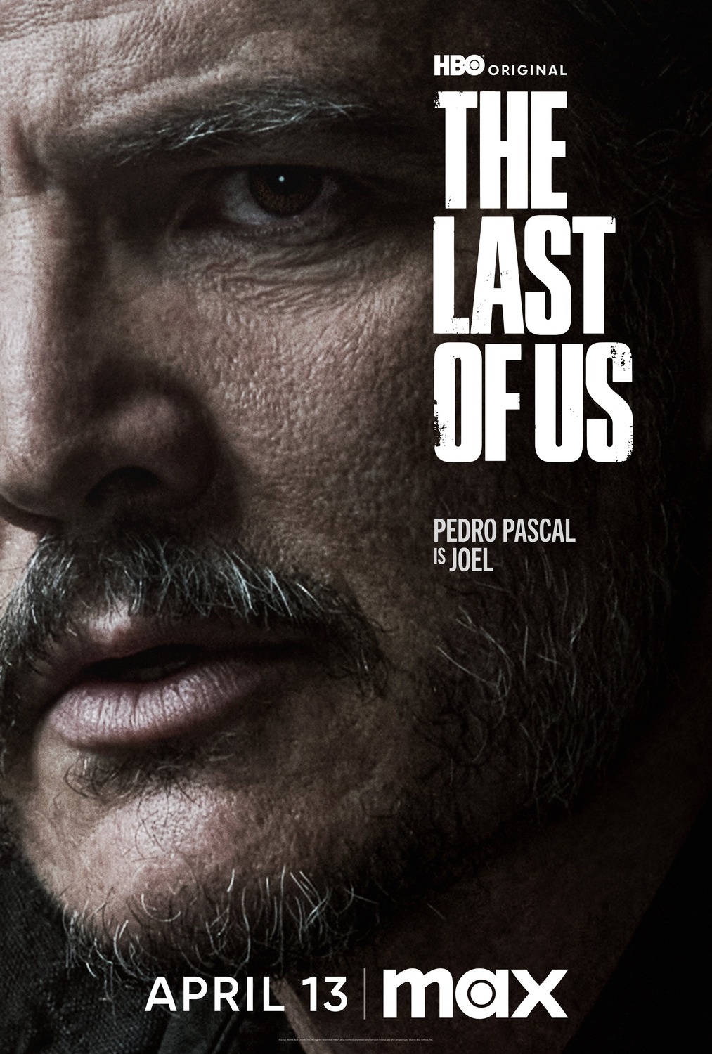 Extra Large TV Poster Image for The Last of Us (#24 of 32)