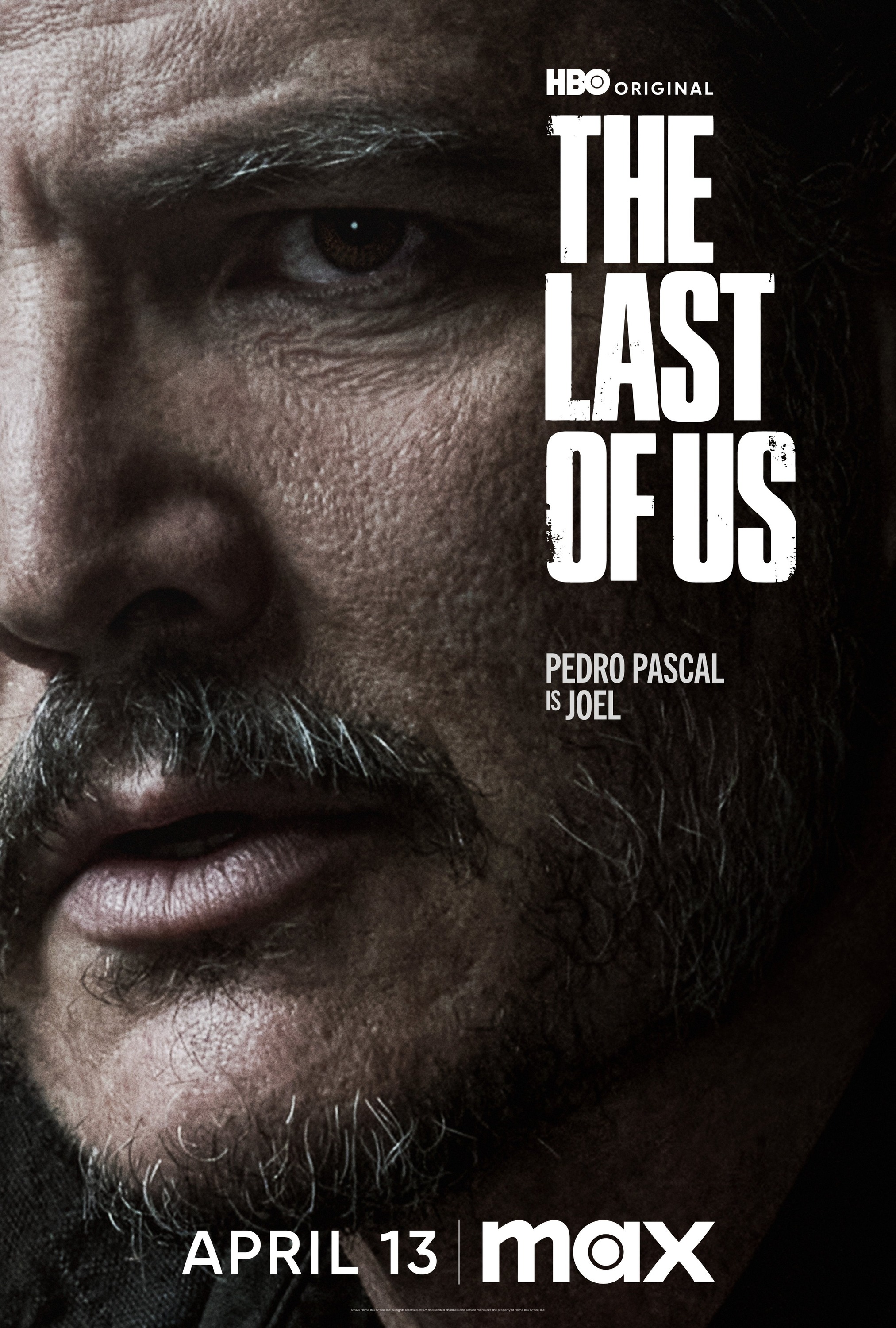 Mega Sized TV Poster Image for The Last of Us (#24 of 32)