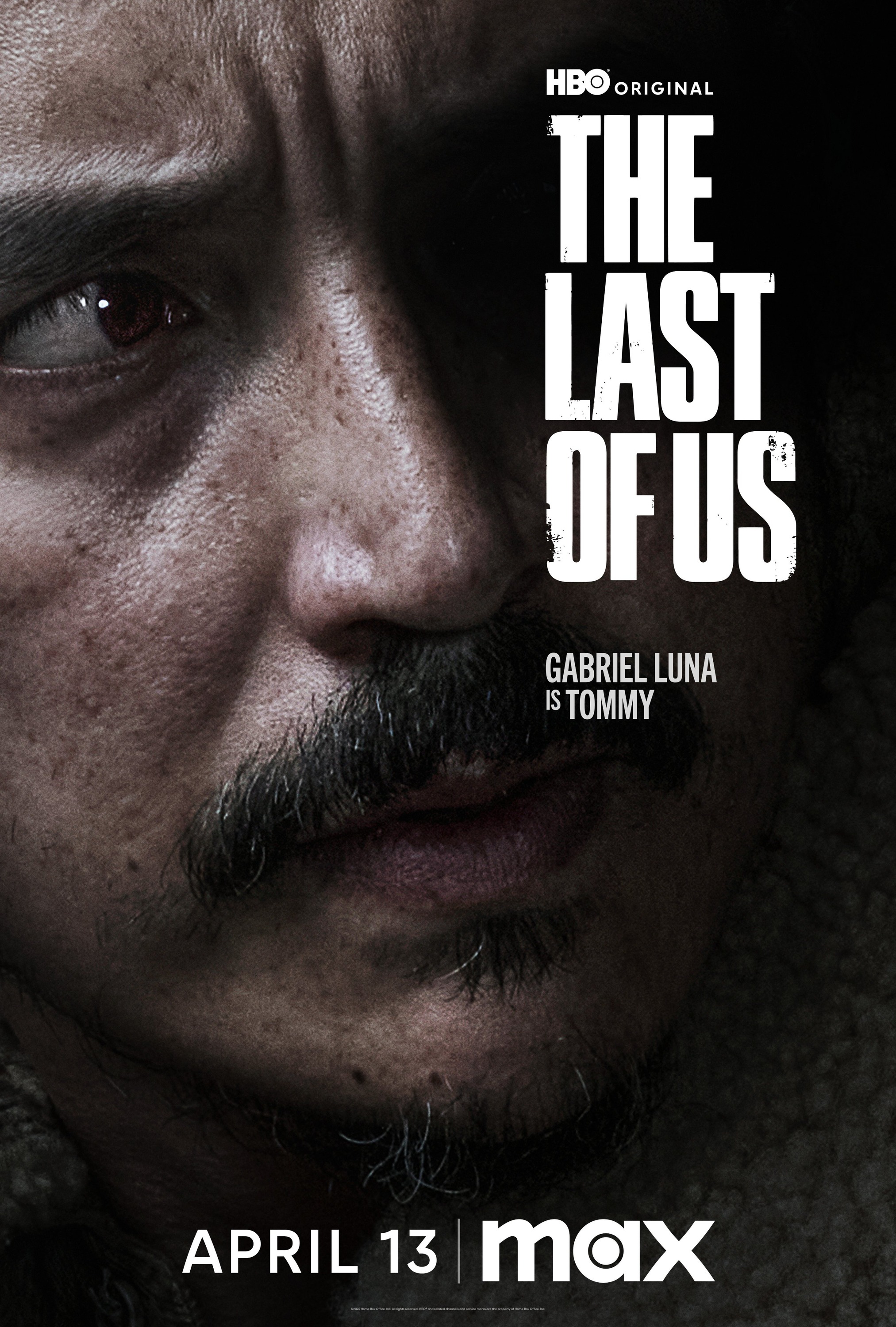 Mega Sized TV Poster Image for The Last of Us (#31 of 32)