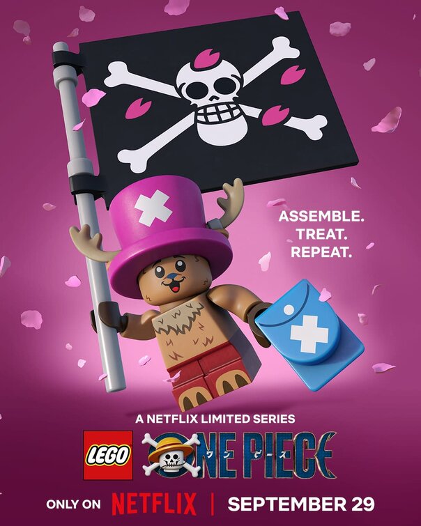 Lego One Piece Movie Poster