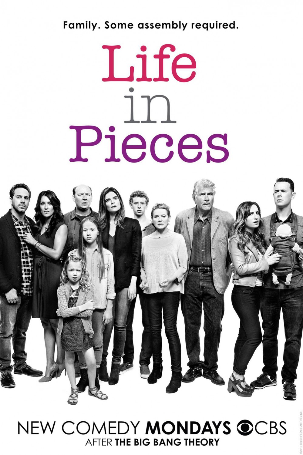 Extra Large Movie Poster Image for Life in Pieces 