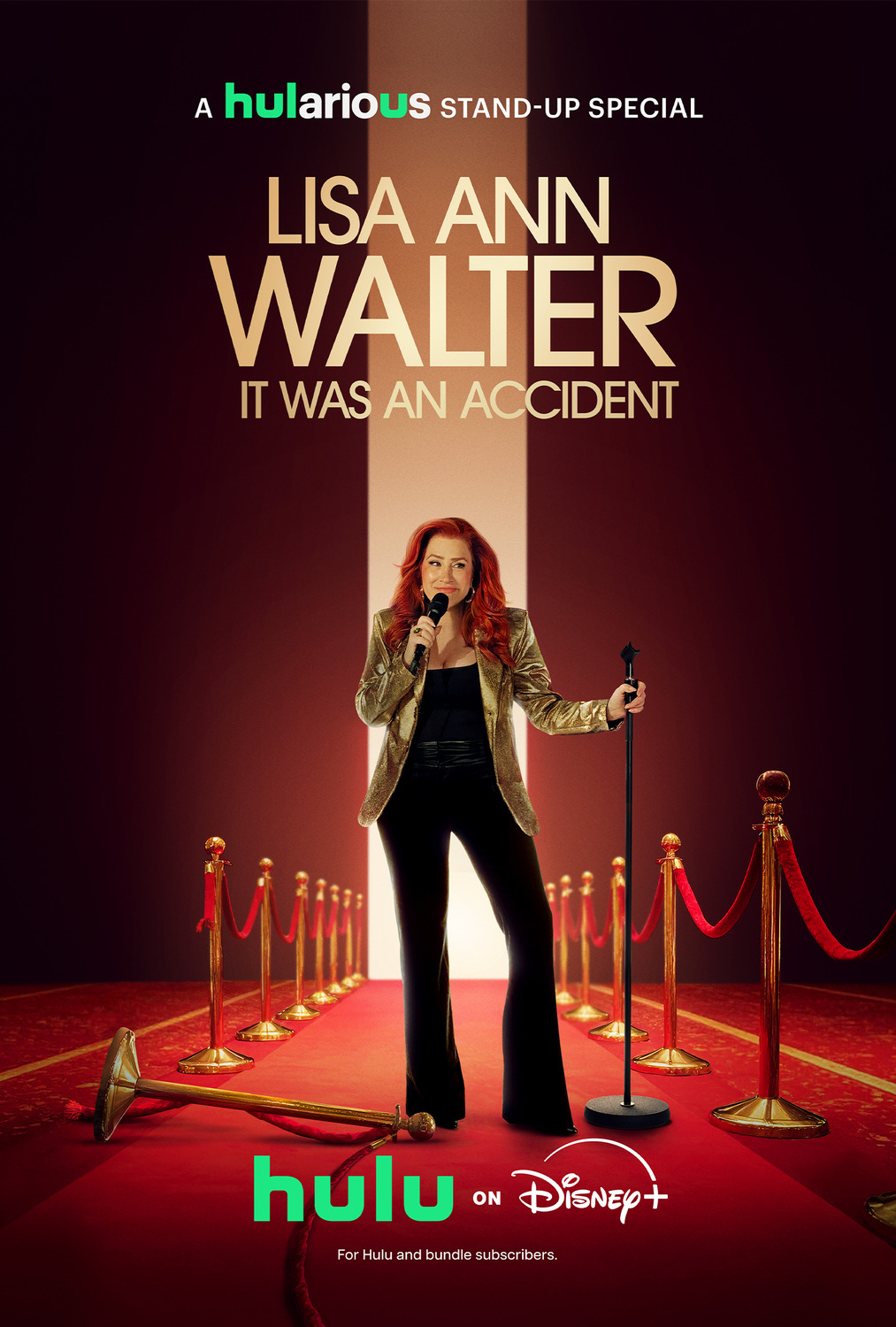 Extra Large TV Poster Image for Lisa Ann Walter: It Was an Accident (#1 of 2)