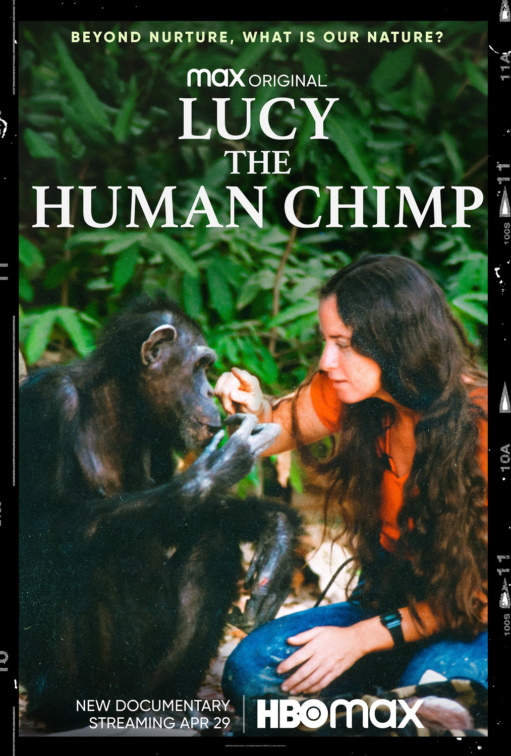 Extra Large TV Poster Image for Lucy the Human Chimp 