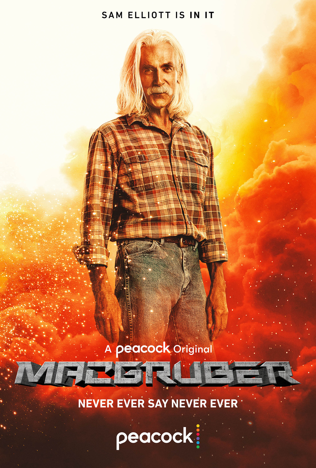 Extra Large TV Poster Image for MacGruber (#7 of 8)