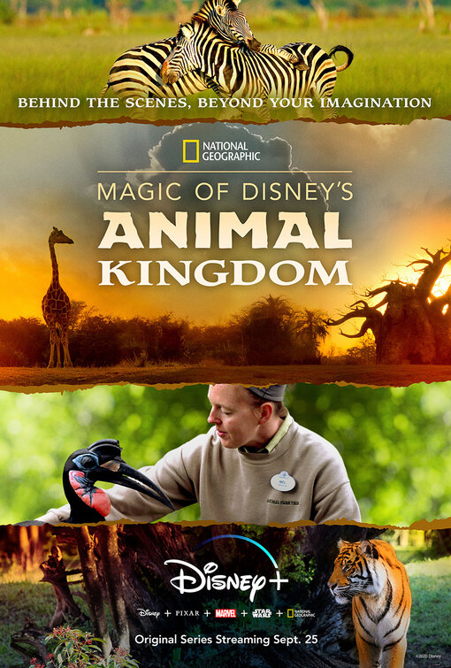 Magic of Disney's Animal Kingdom Movie Poster