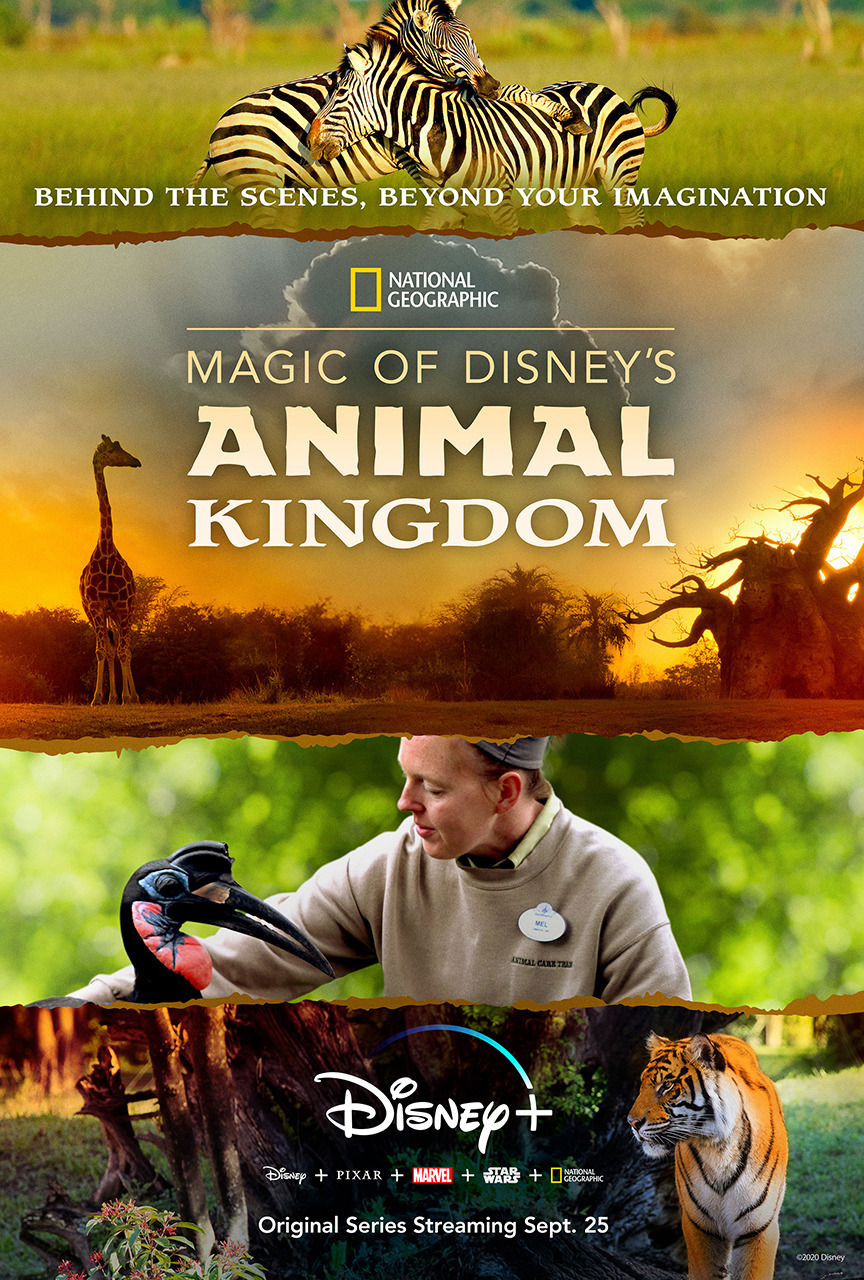 Extra Large TV Poster Image for Magic of Disney's Animal Kingdom 