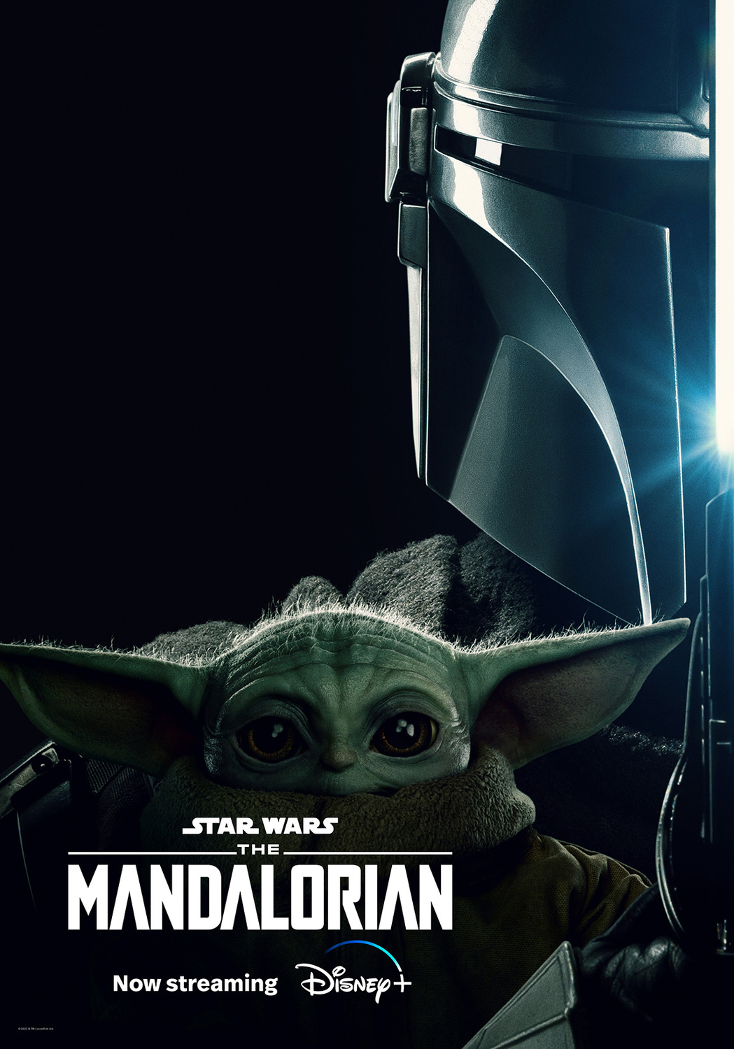 Extra Large Movie Poster Image for The Mandalorian (#34 of 49)
