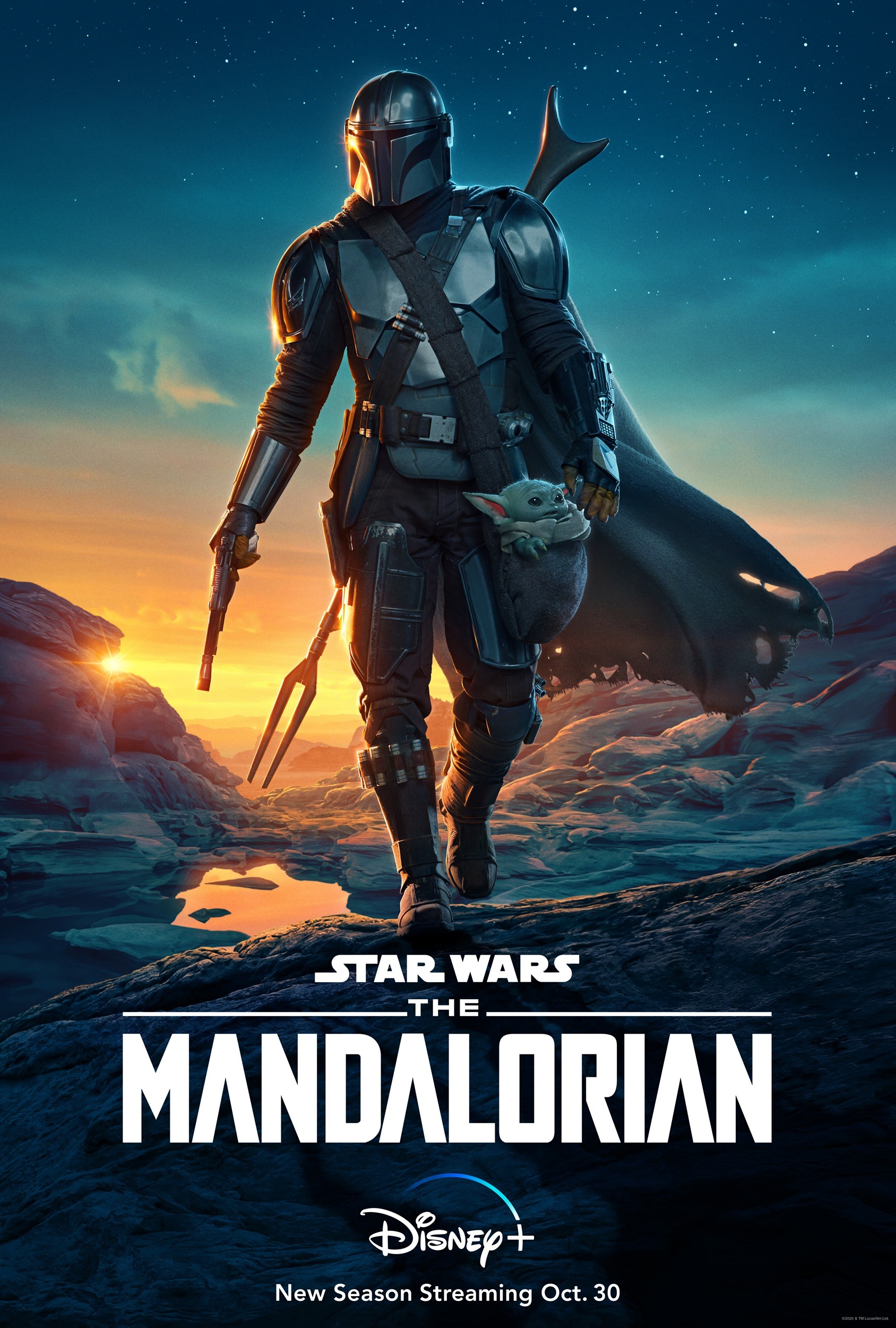 Mega Sized Movie Poster Image for The Mandalorian (#7 of 49)