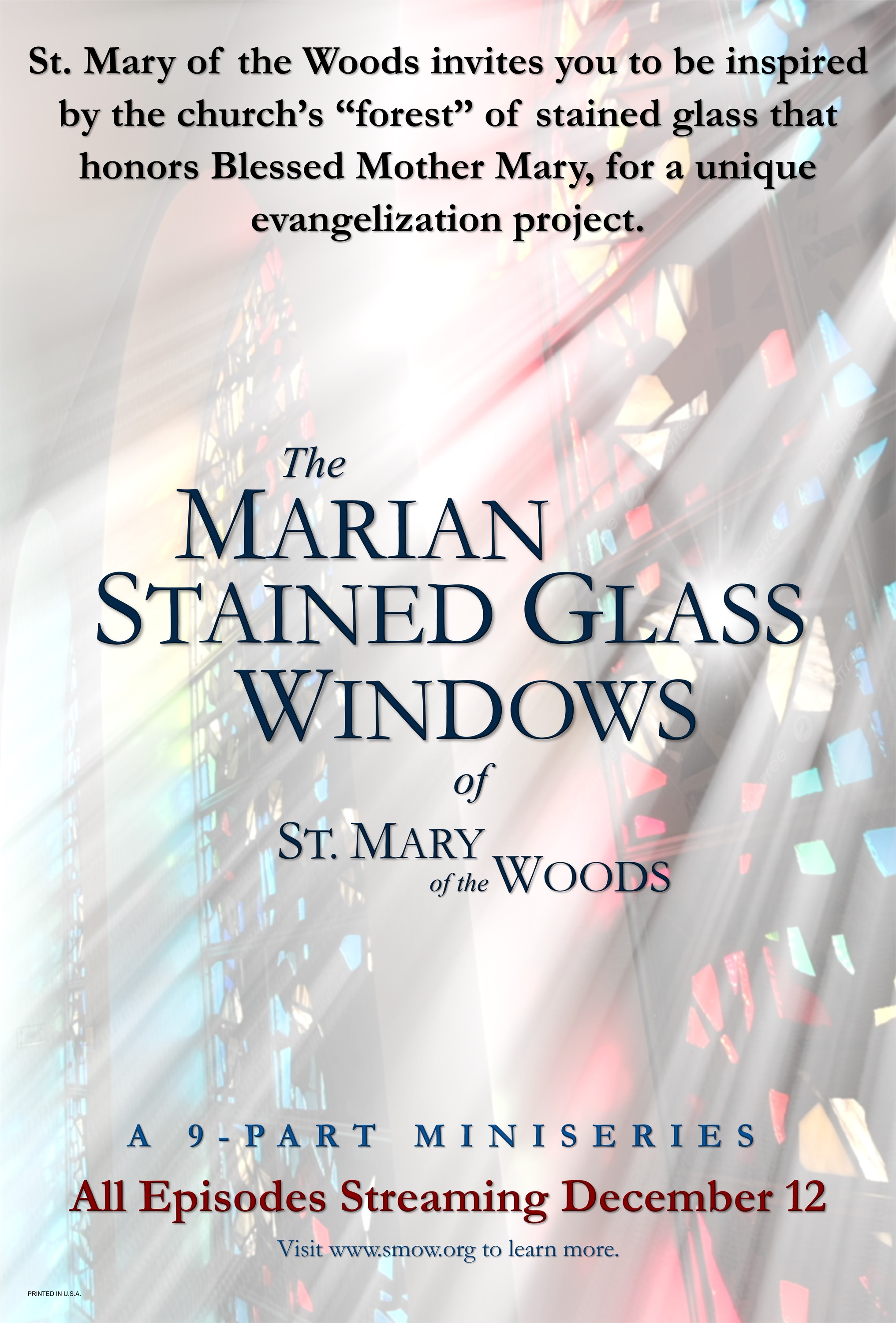 Mega Sized TV Poster Image for The Marian Stained Glass Windows (#3 of 5)