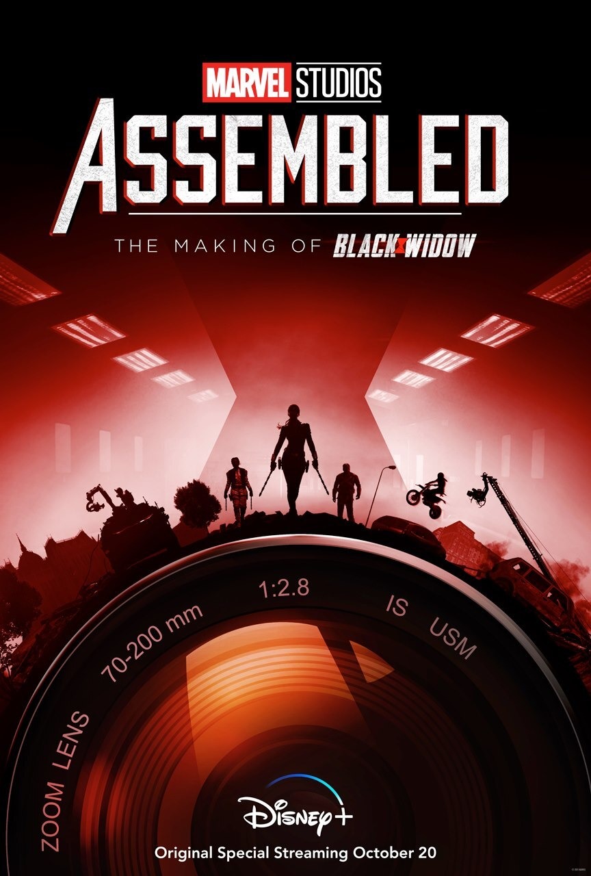 Extra Large Movie Poster Image for Marvel Studios: Assembled (#4 of 12)