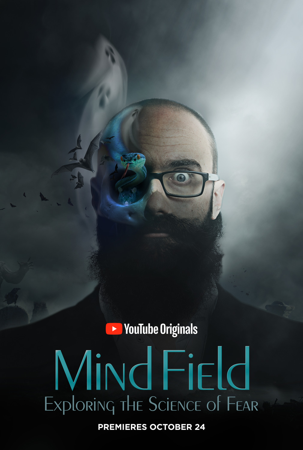 Extra Large TV Poster Image for Mind Field (#4 of 4)