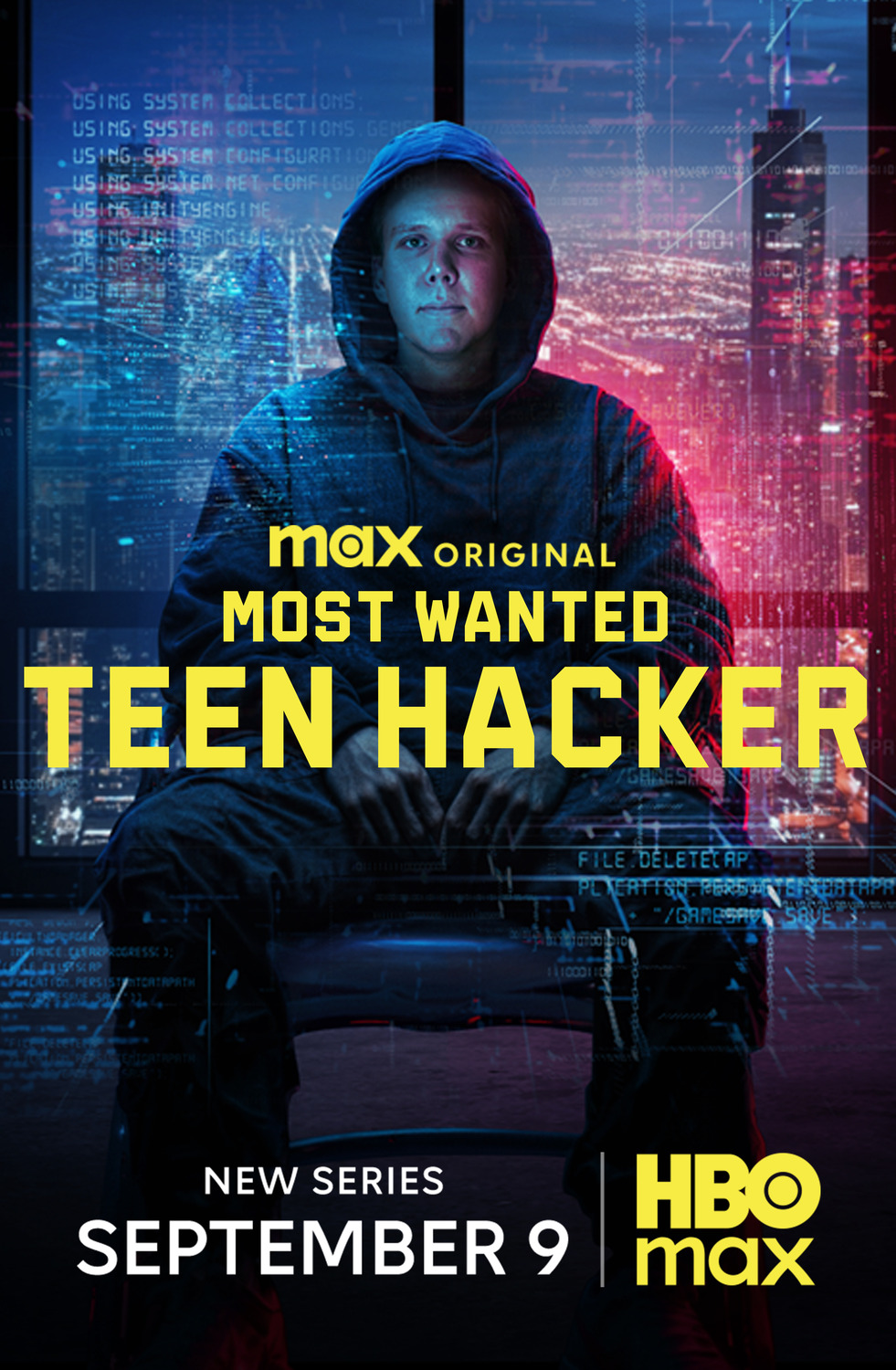 Extra Large TV Poster Image for Most Wanted: Teen Hacker 