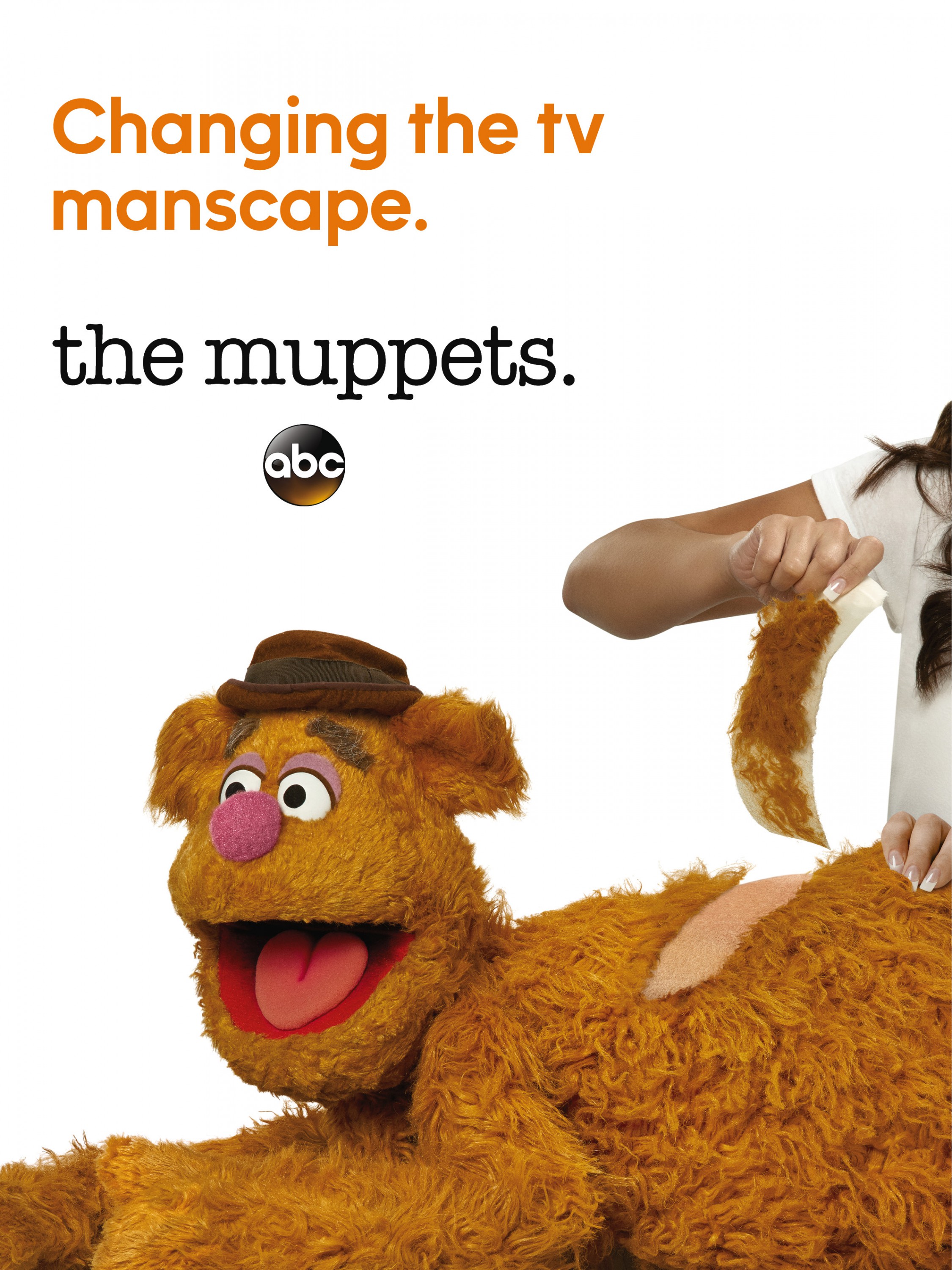 Mega Sized TV Poster Image for The Muppets (#4 of 5)