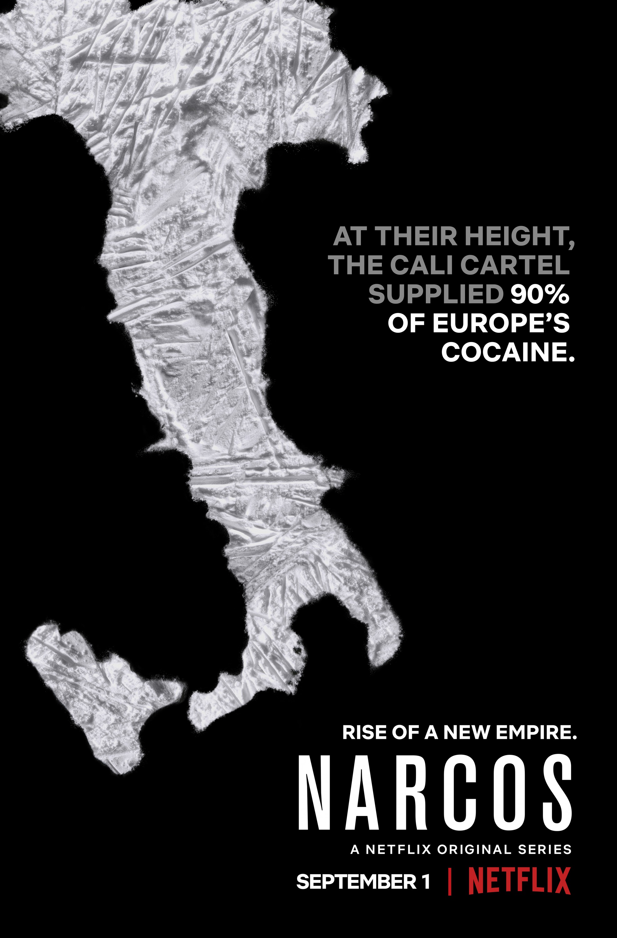 Mega Sized Movie Poster Image for Narcos (#28 of 29)