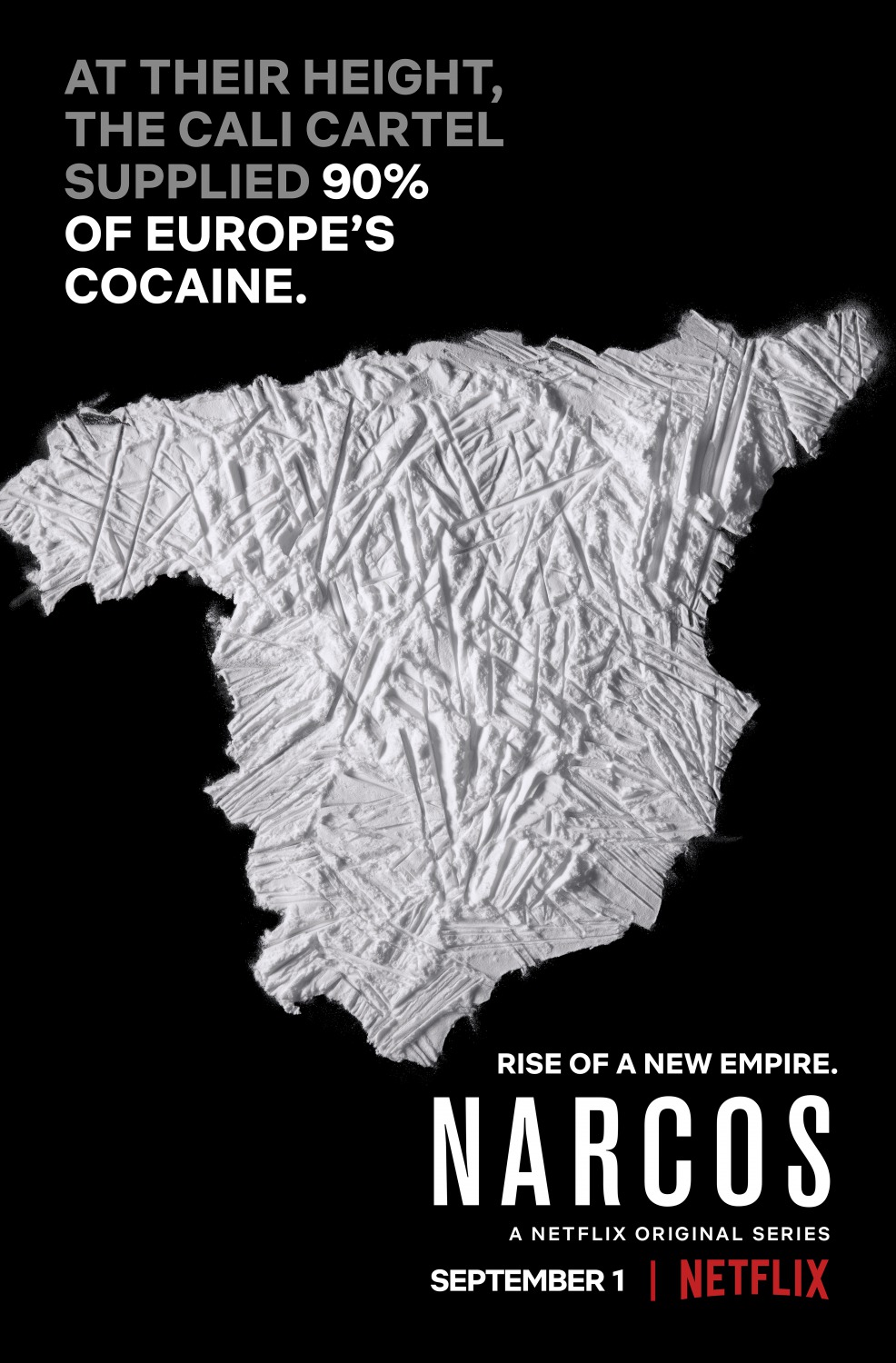Extra Large TV Poster Image for Narcos (#29 of 29)