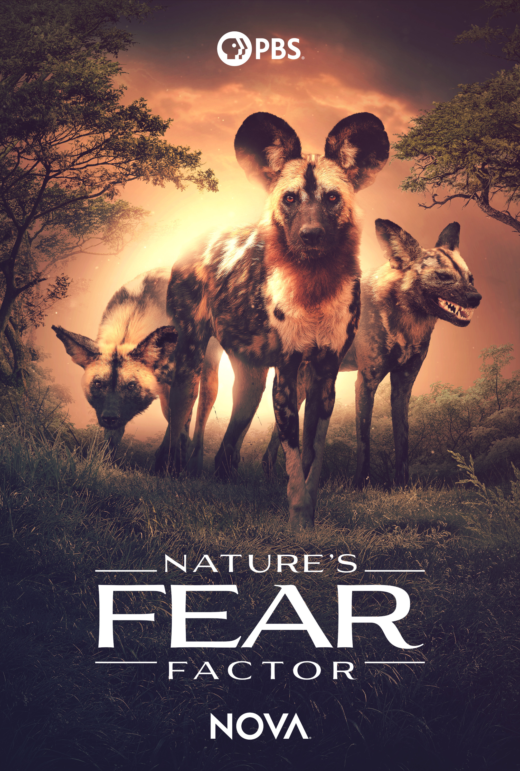 Mega Sized TV Poster Image for Nature's Fear Factor 