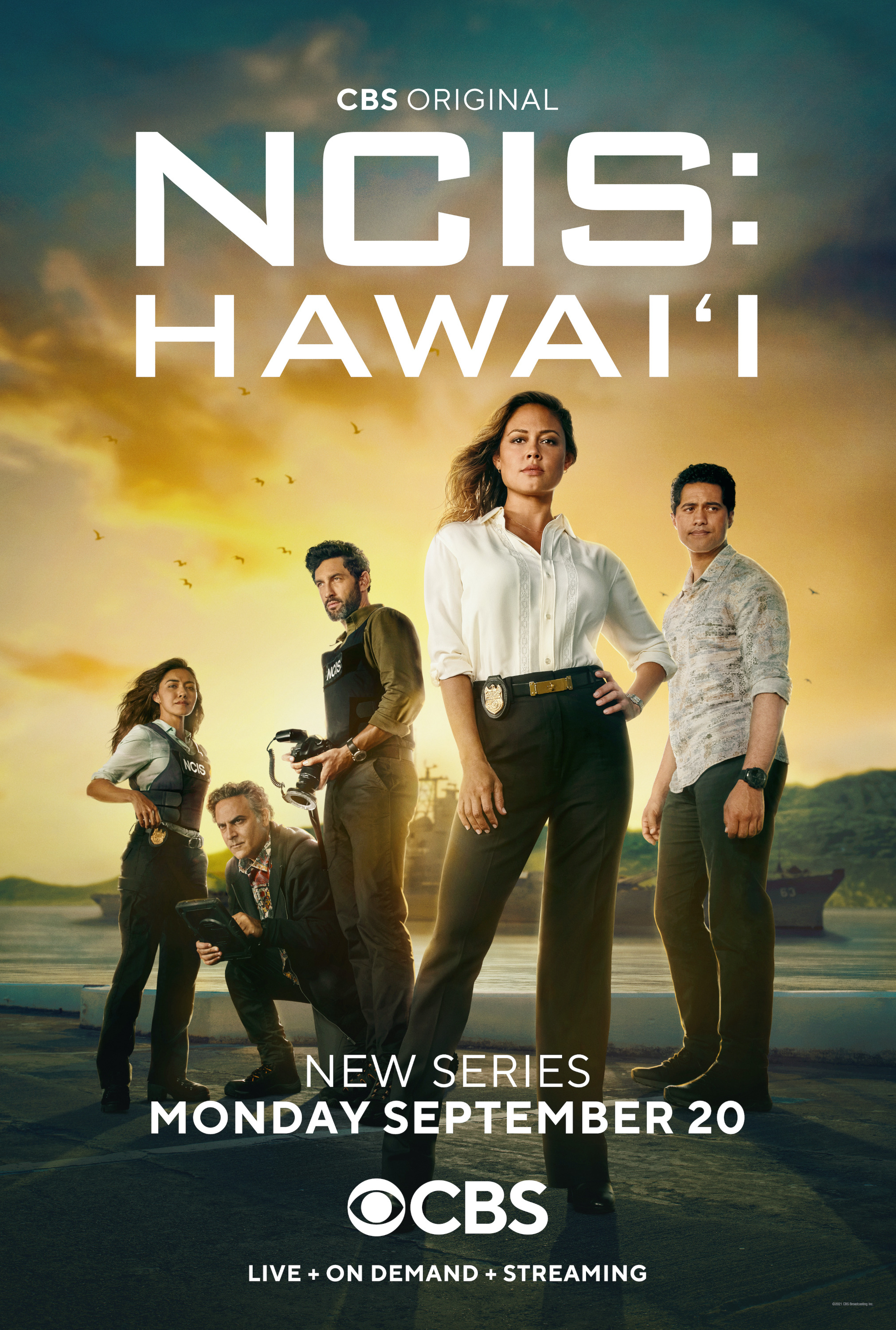 Mega Sized TV Poster Image for NCIS: Hawai'i (#1 of 3)