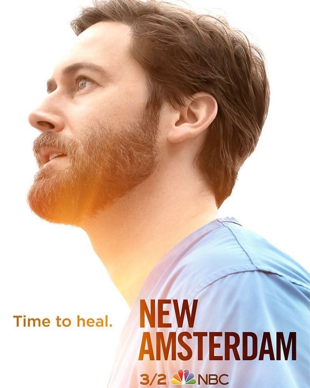 Extra Large TV Poster Image for New Amsterdam (#4 of 4)