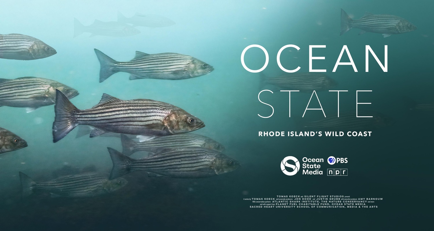 Extra Large TV Poster Image for Ocean State: Rhode Island's Wild Coast (#2 of 3)