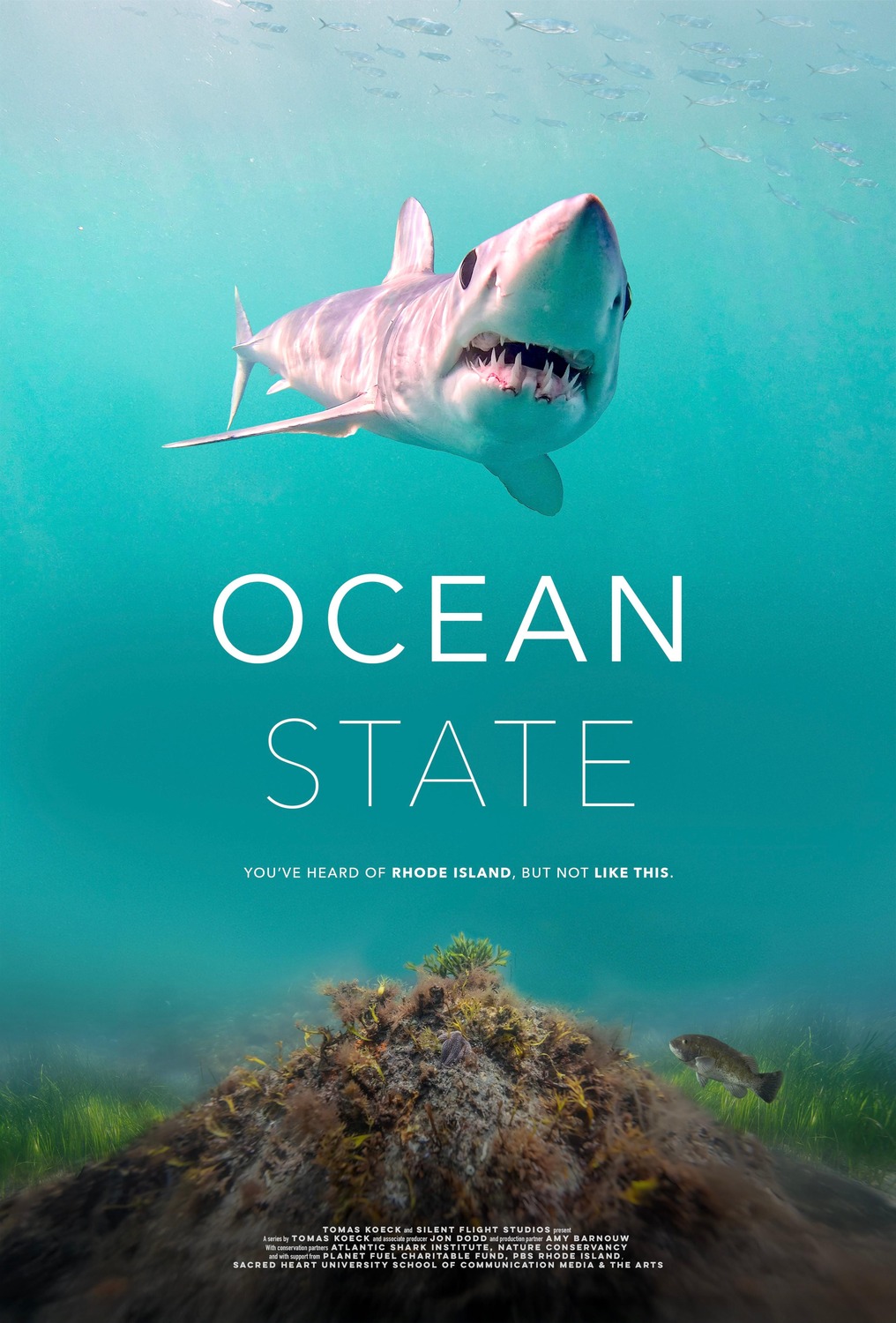 Extra Large TV Poster Image for Ocean State: Rhode Island's Wild Coast (#1 of 3)