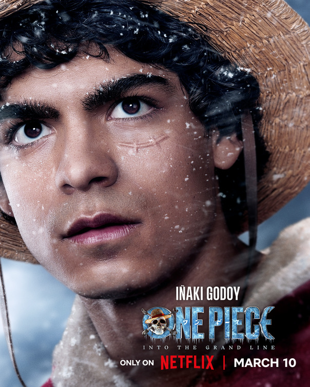 One Piece Movie Poster