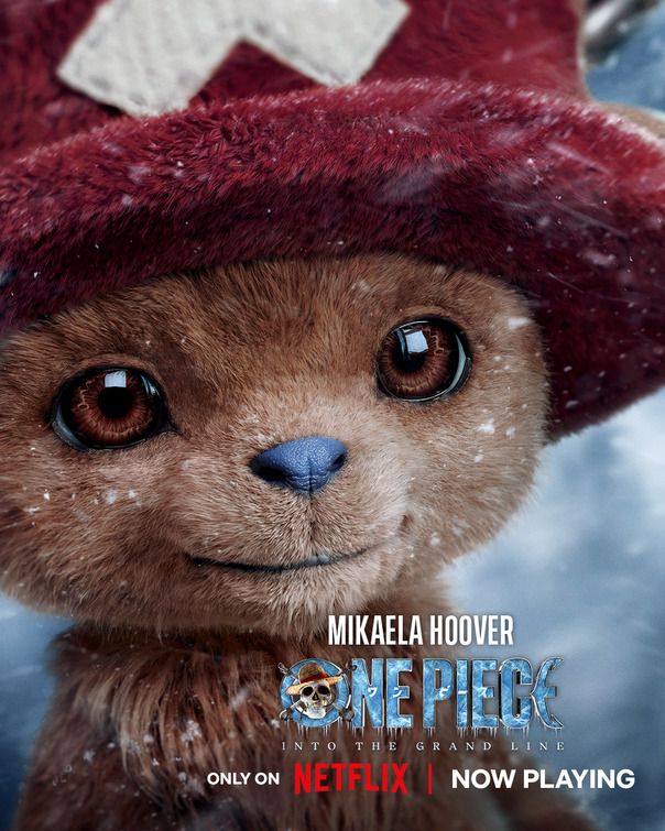 One Piece Movie Poster