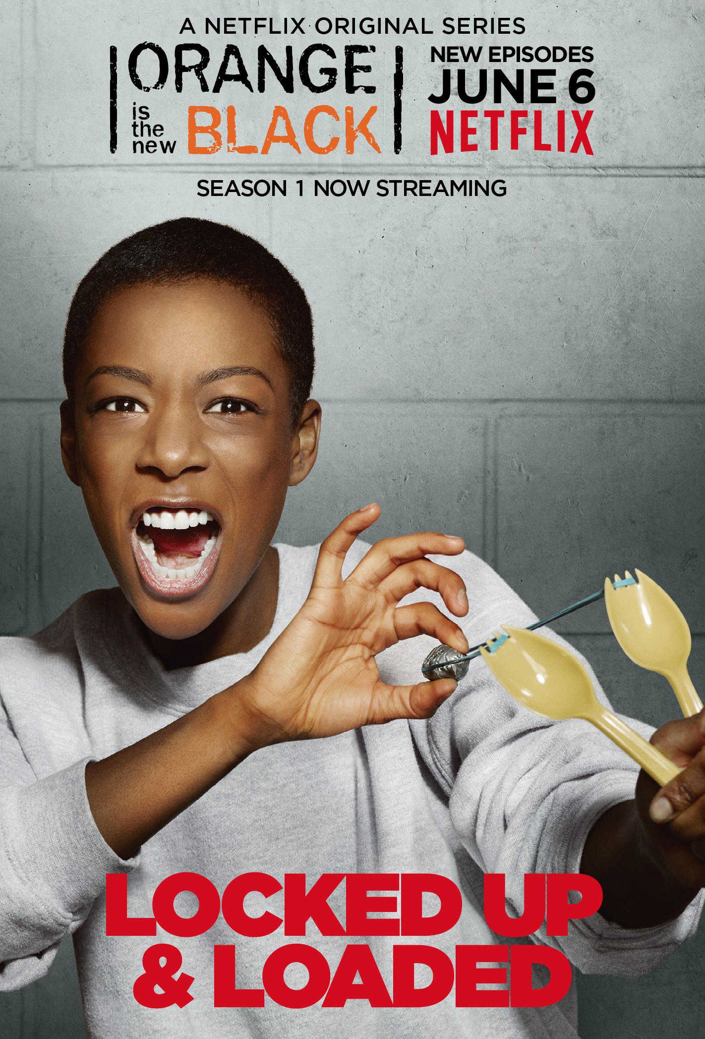 Mega Sized TV Poster Image for Orange Is the New Black (#15 of 81)