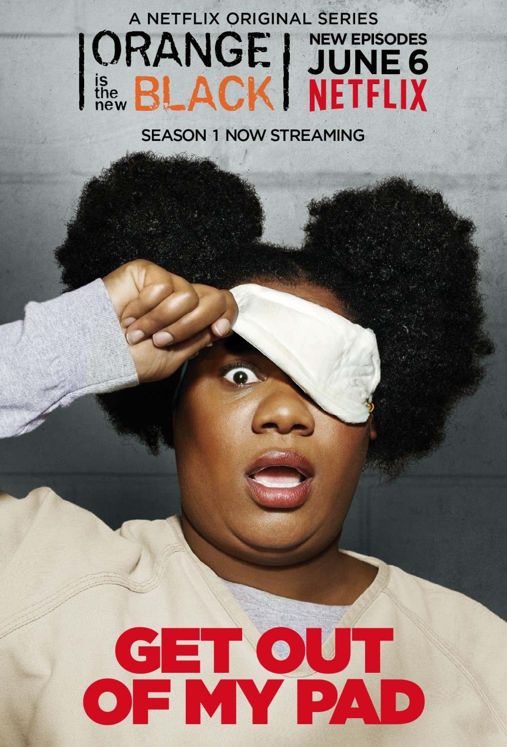 Extra Large TV Poster Image for Orange Is the New Black (#17 of 81)