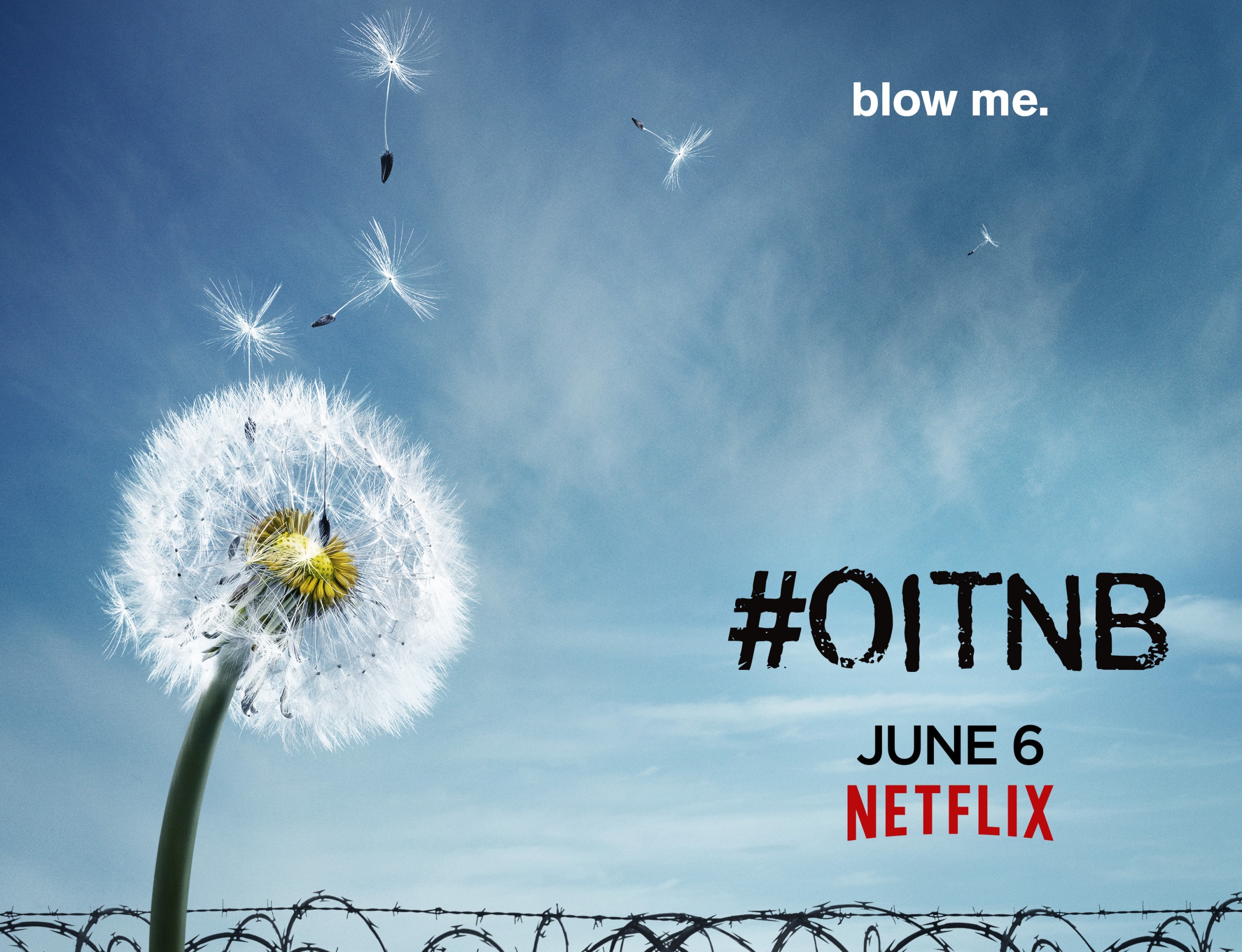 Mega Sized TV Poster Image for Orange Is the New Black (#21 of 81)